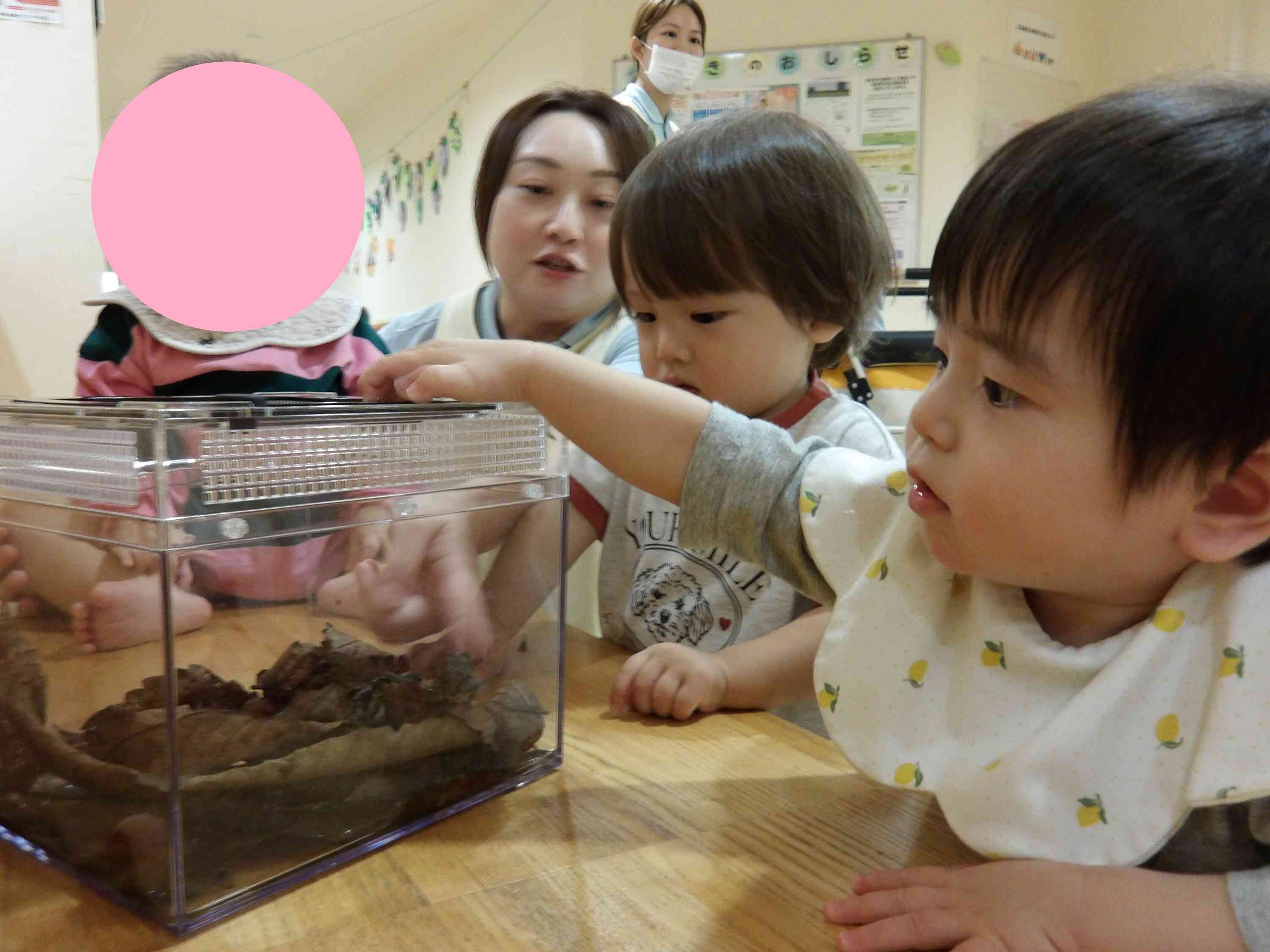 じ～っと観察☆
