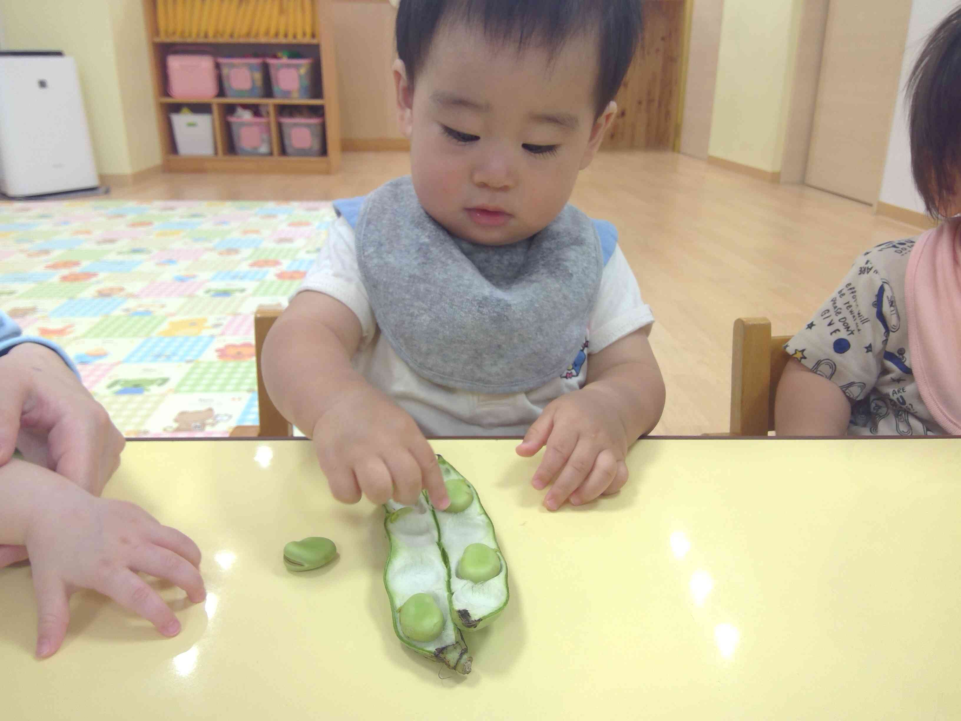 ひよこ組さんも触ったよ！
