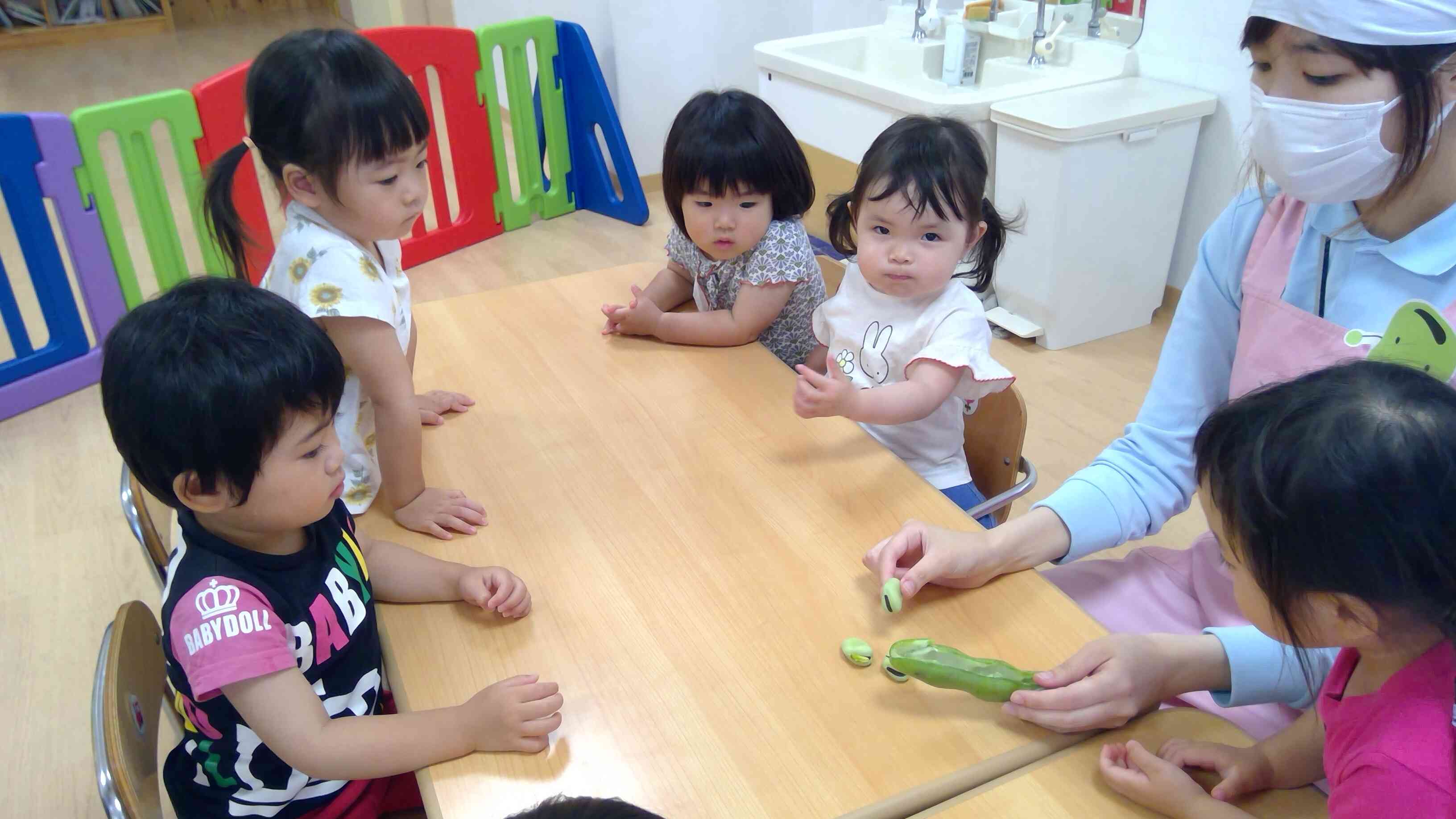 わぁ!そら豆って大きい!