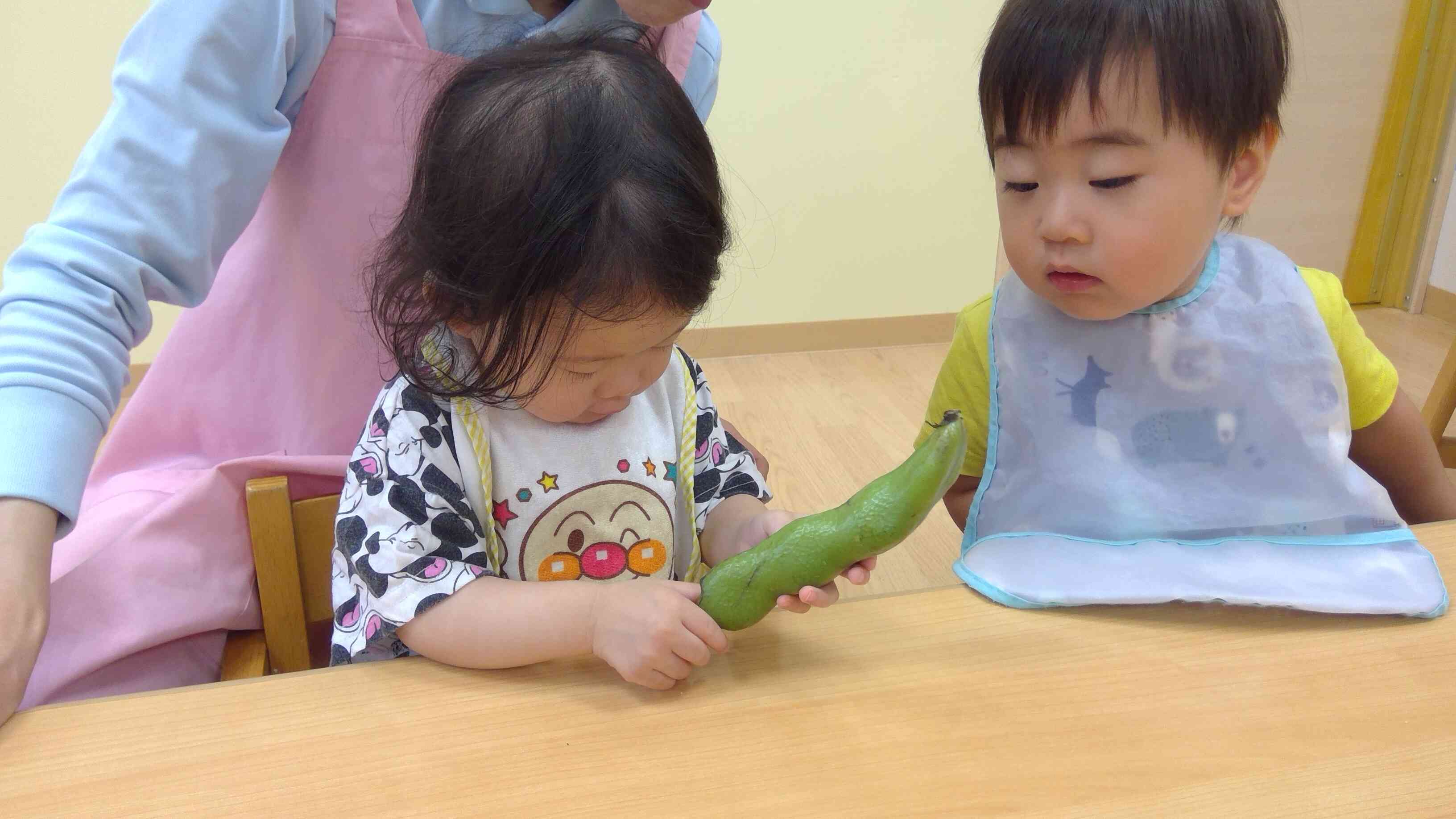 あひる組さんもそら豆の皮を触ってみました！
