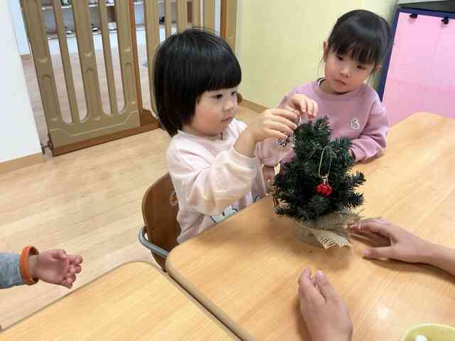 クリスマスツリーだ！