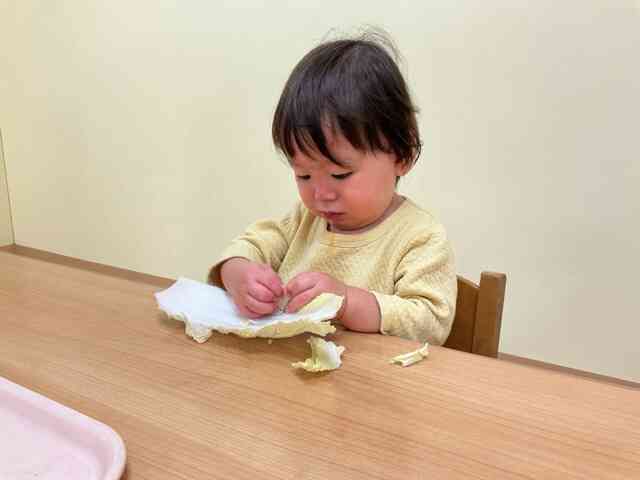 ちぎってみよう！