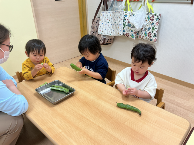 そら豆の皮むきに挑戦！