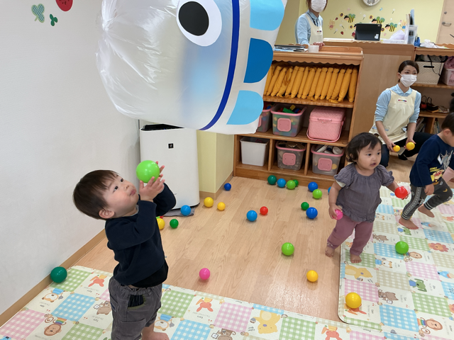 屋根より高いこいのぼり〜♪