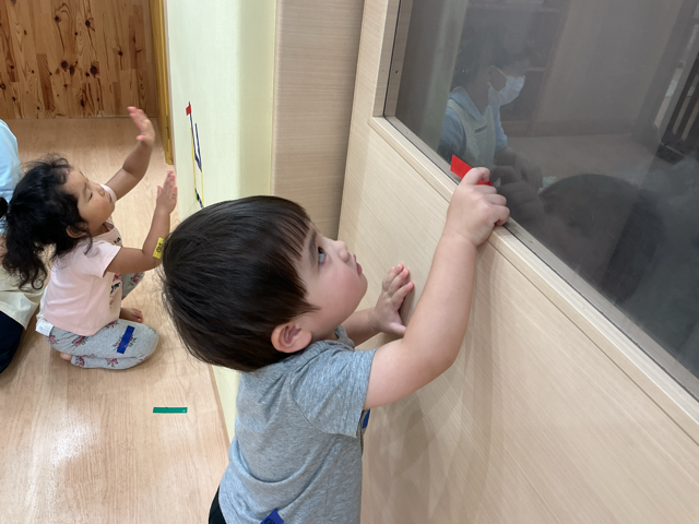 窓にも貼ってみよう！