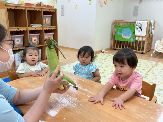 これは何？