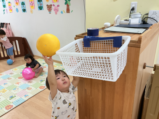 カゴの中に入るかな?