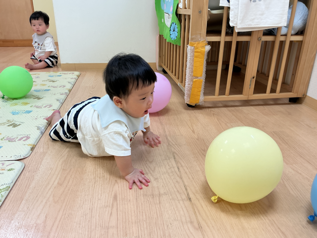 まてまて〜！