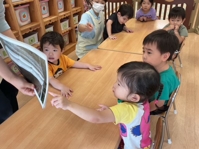 水害ってなに？