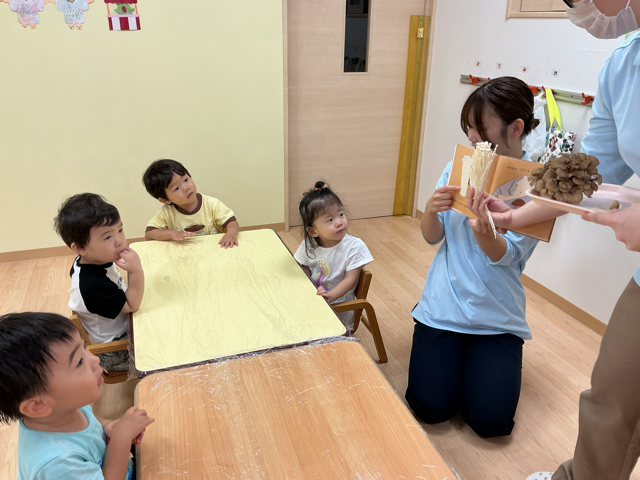 きのこを触ろう