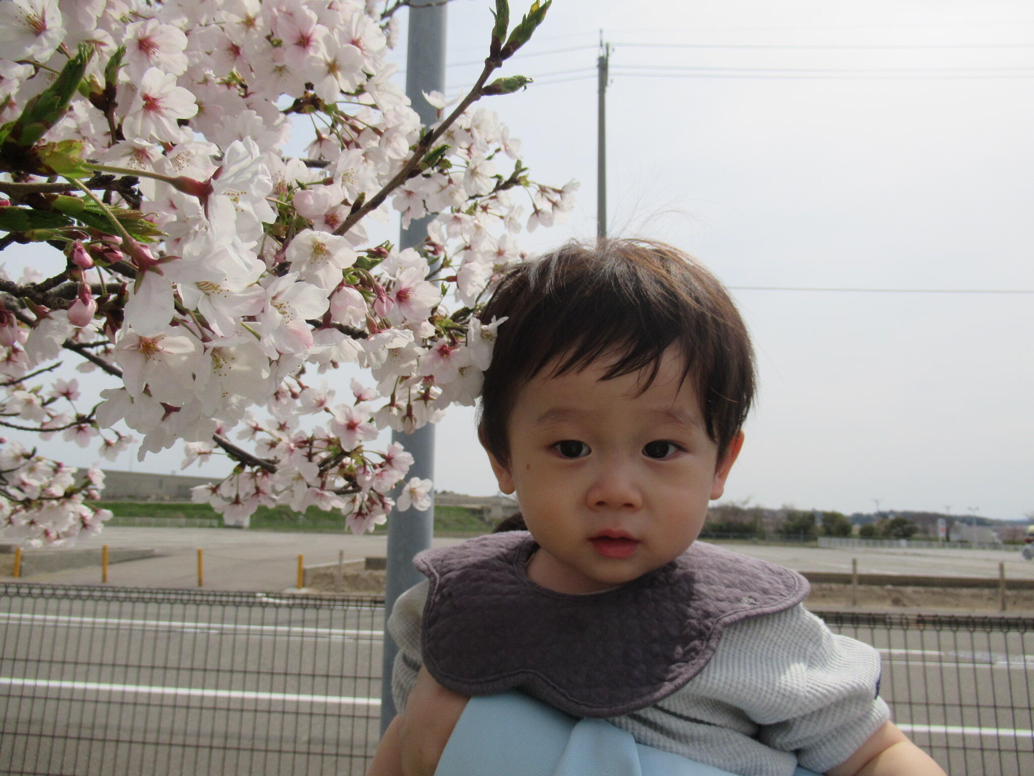 桜と一緒にポーズ！