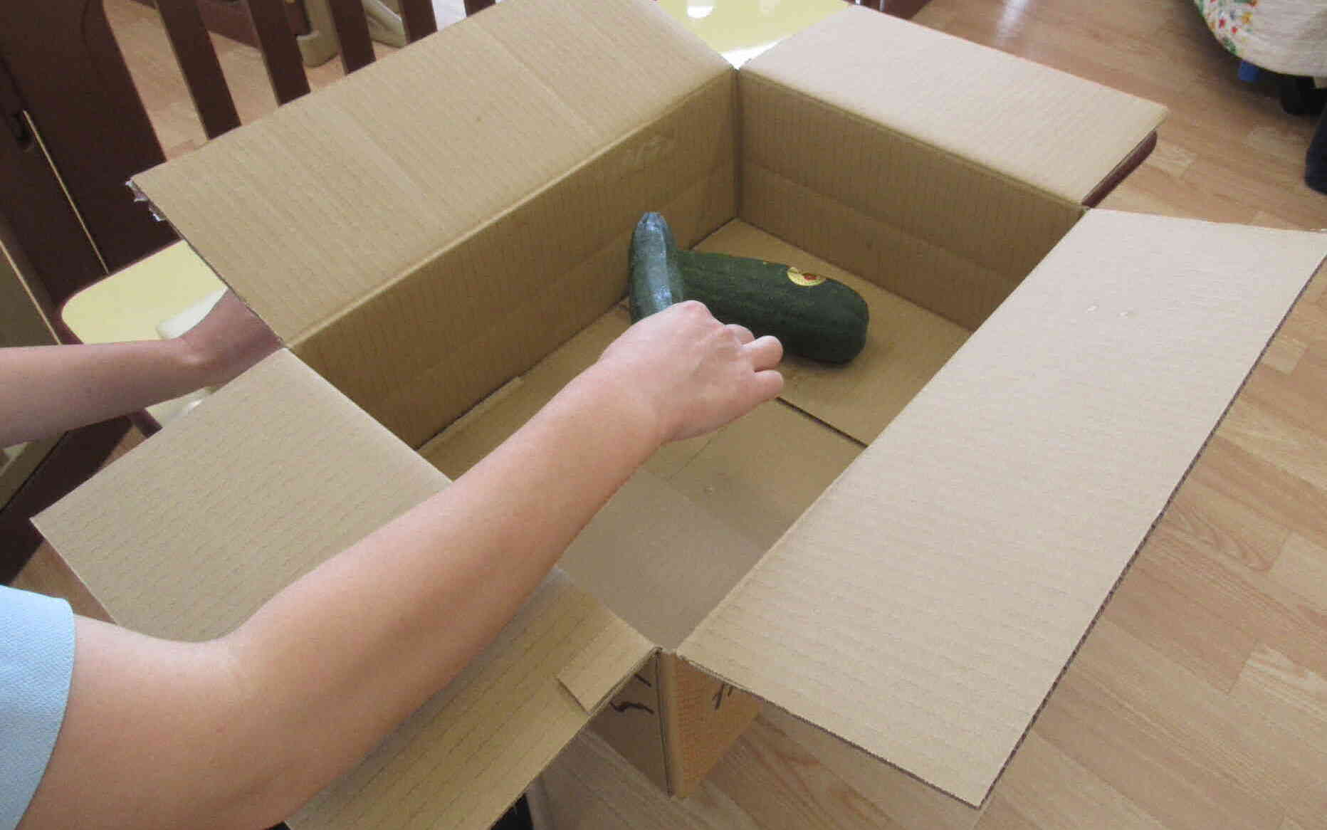違いを比べたよ！