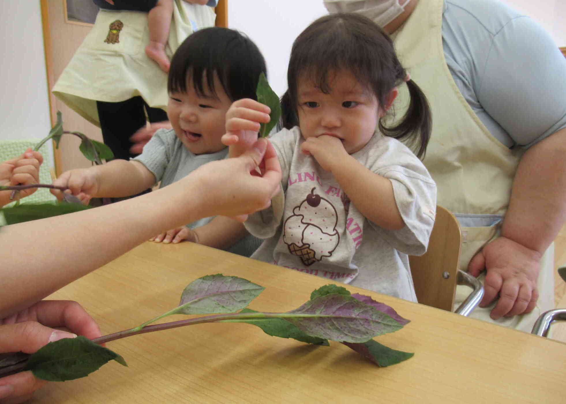 わ～、なんだろう？