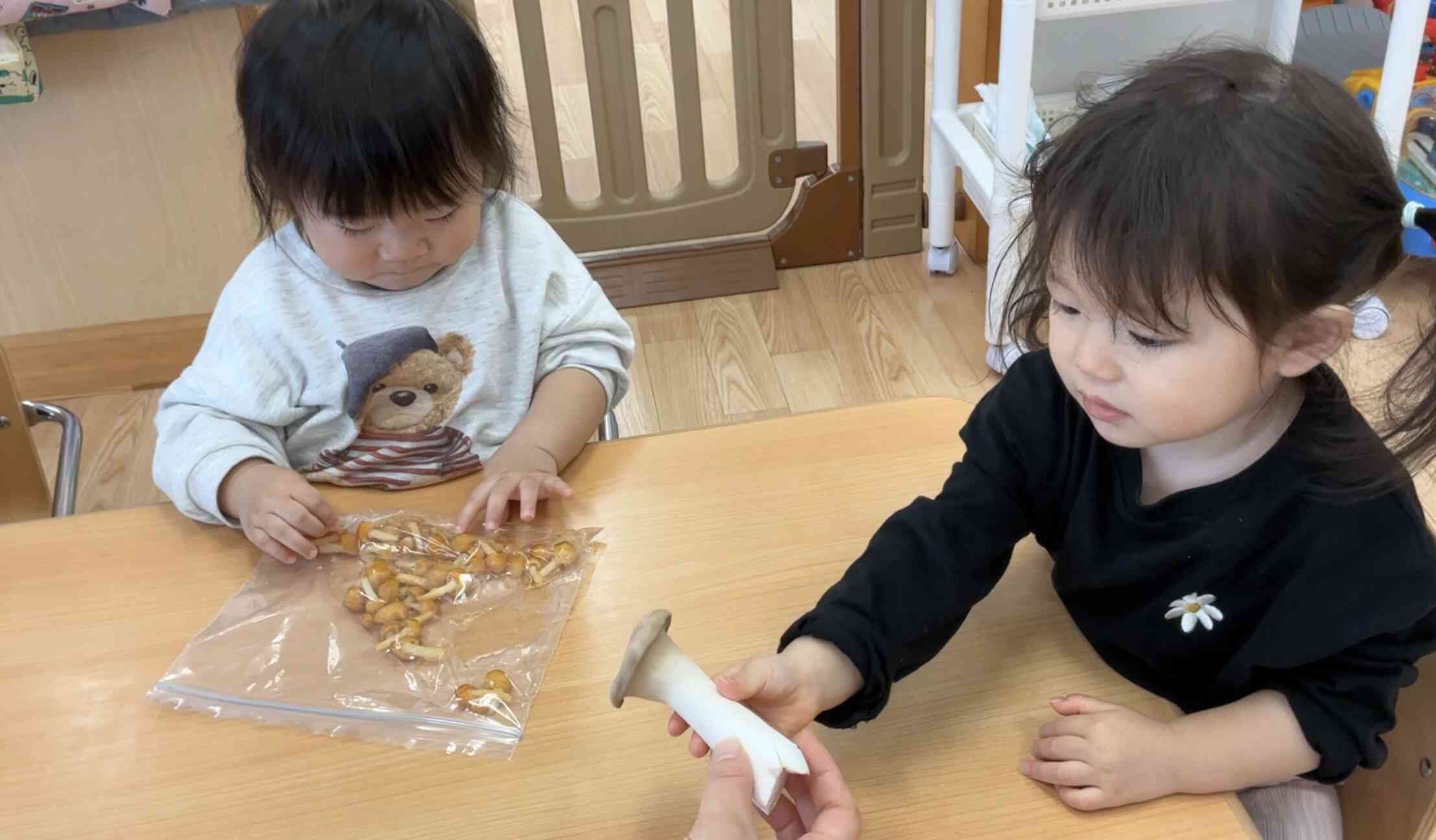 「なめこ、ぬるぬるしてる！」「これは、エリンギ！」