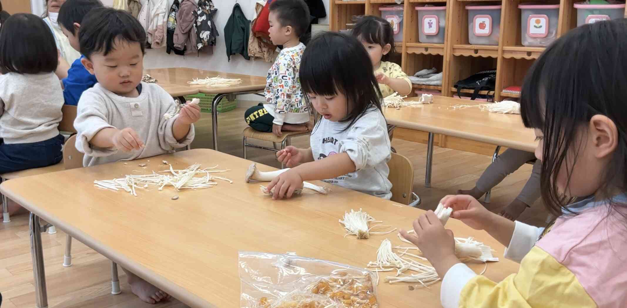 いろんなきのこがあるね！