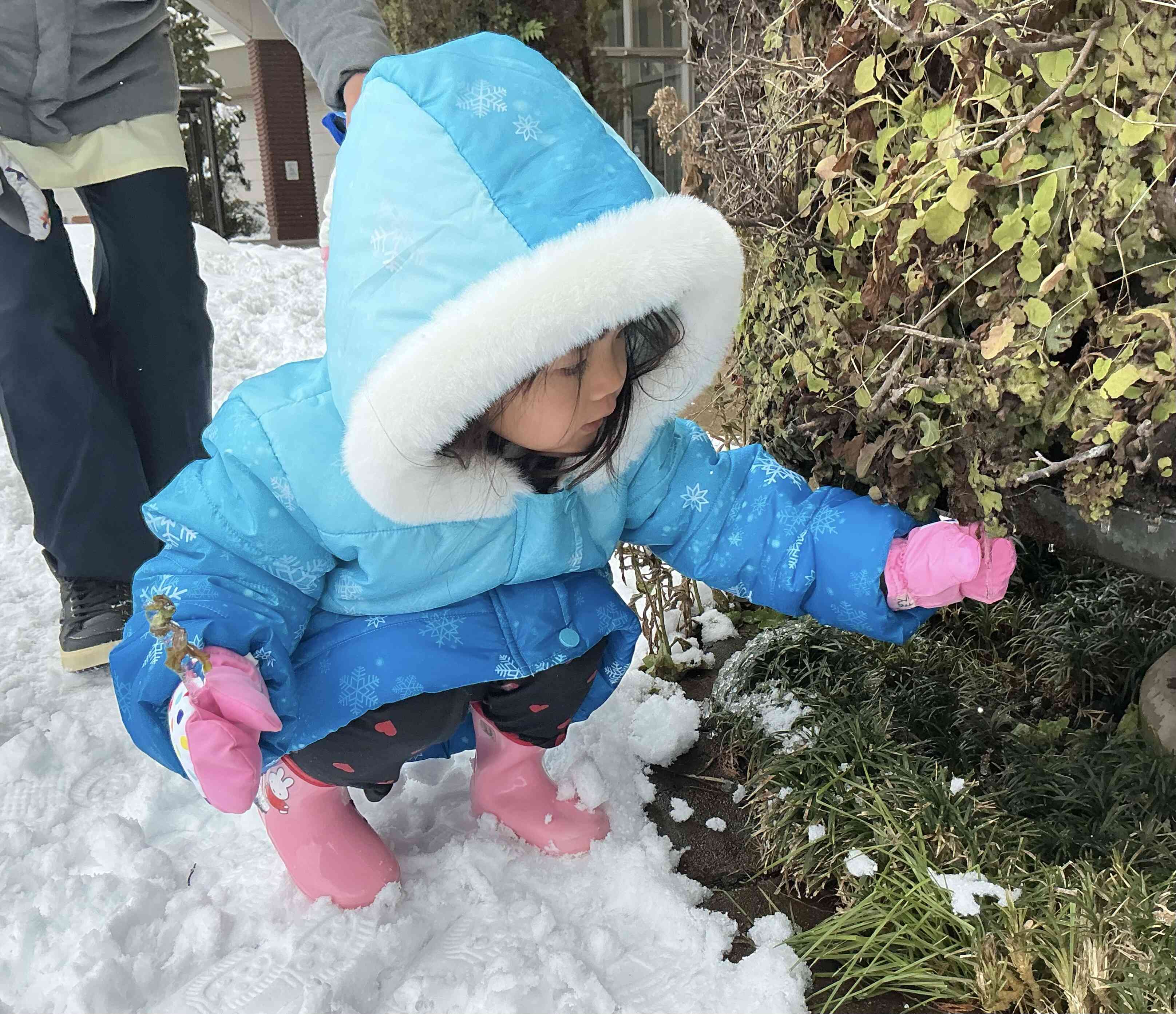 つららも発見！