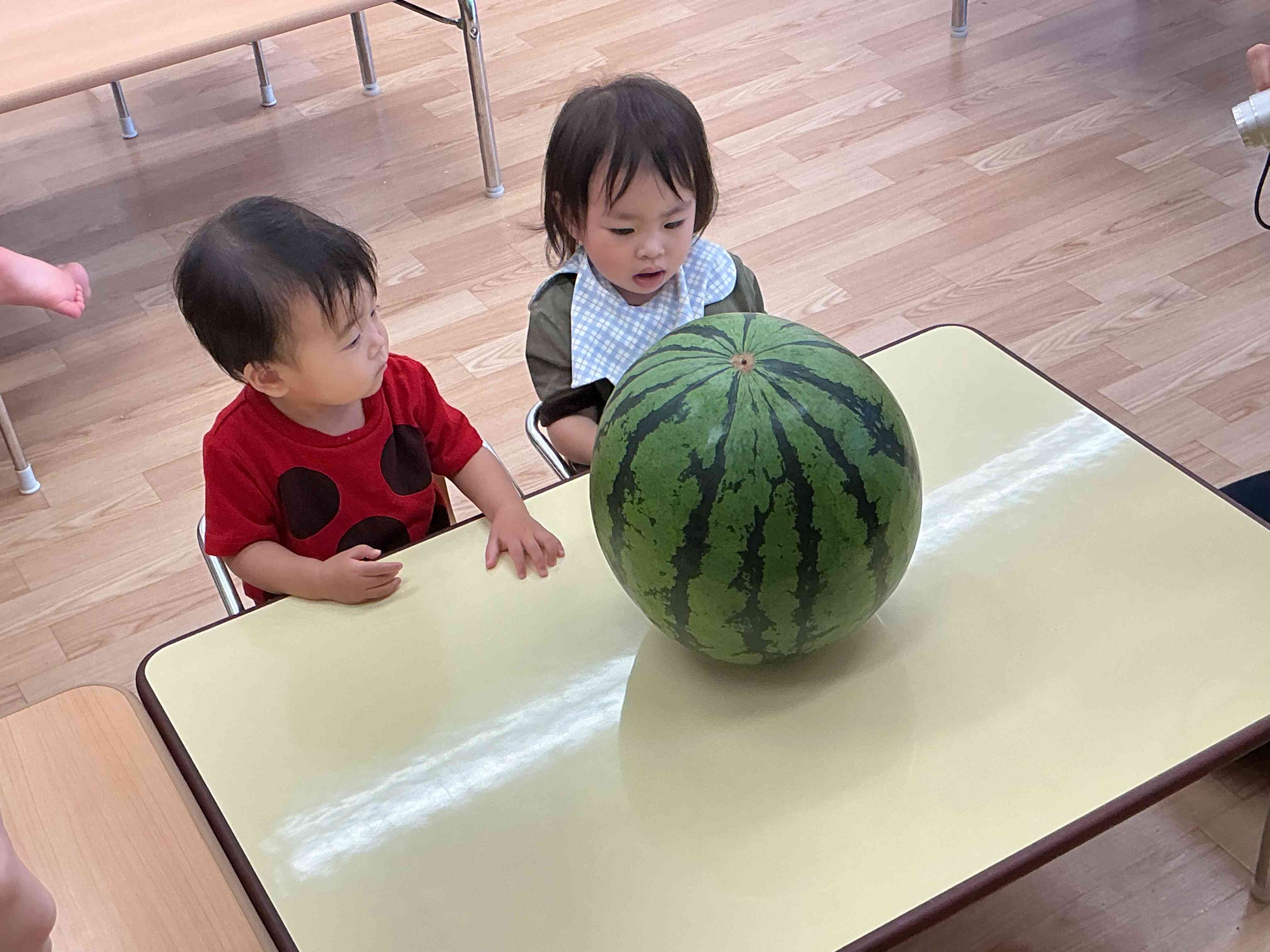 みんなのお顔より大きいよ!