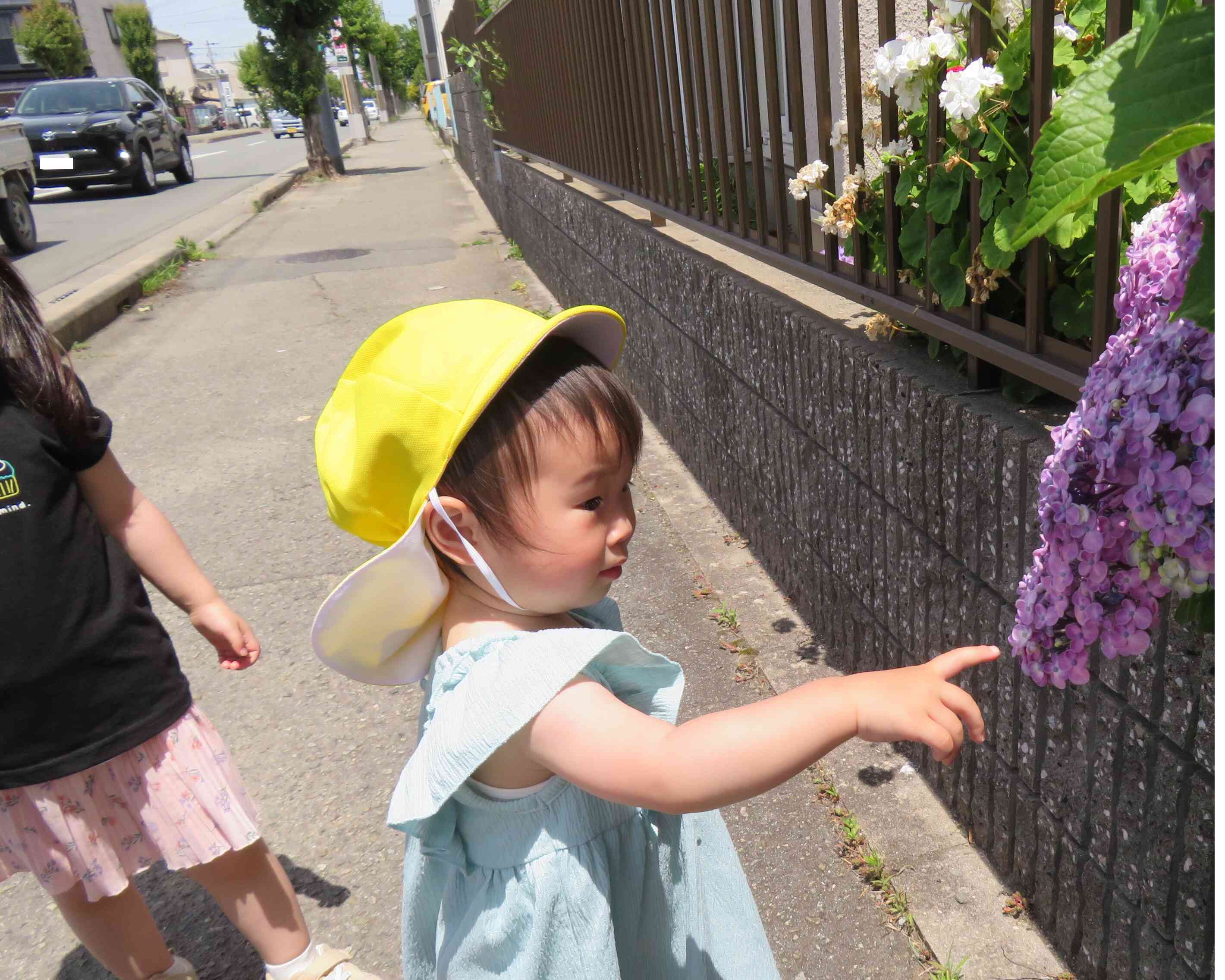 お散歩日和です！！！