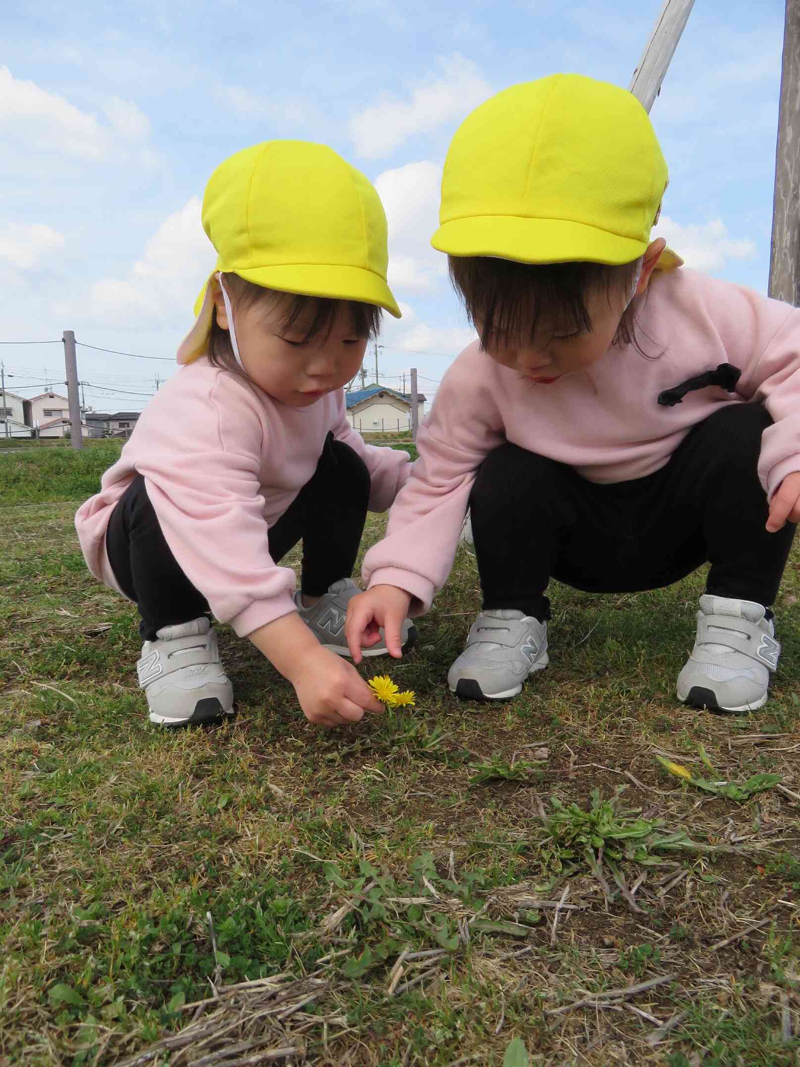 タンポポ み～つけた！