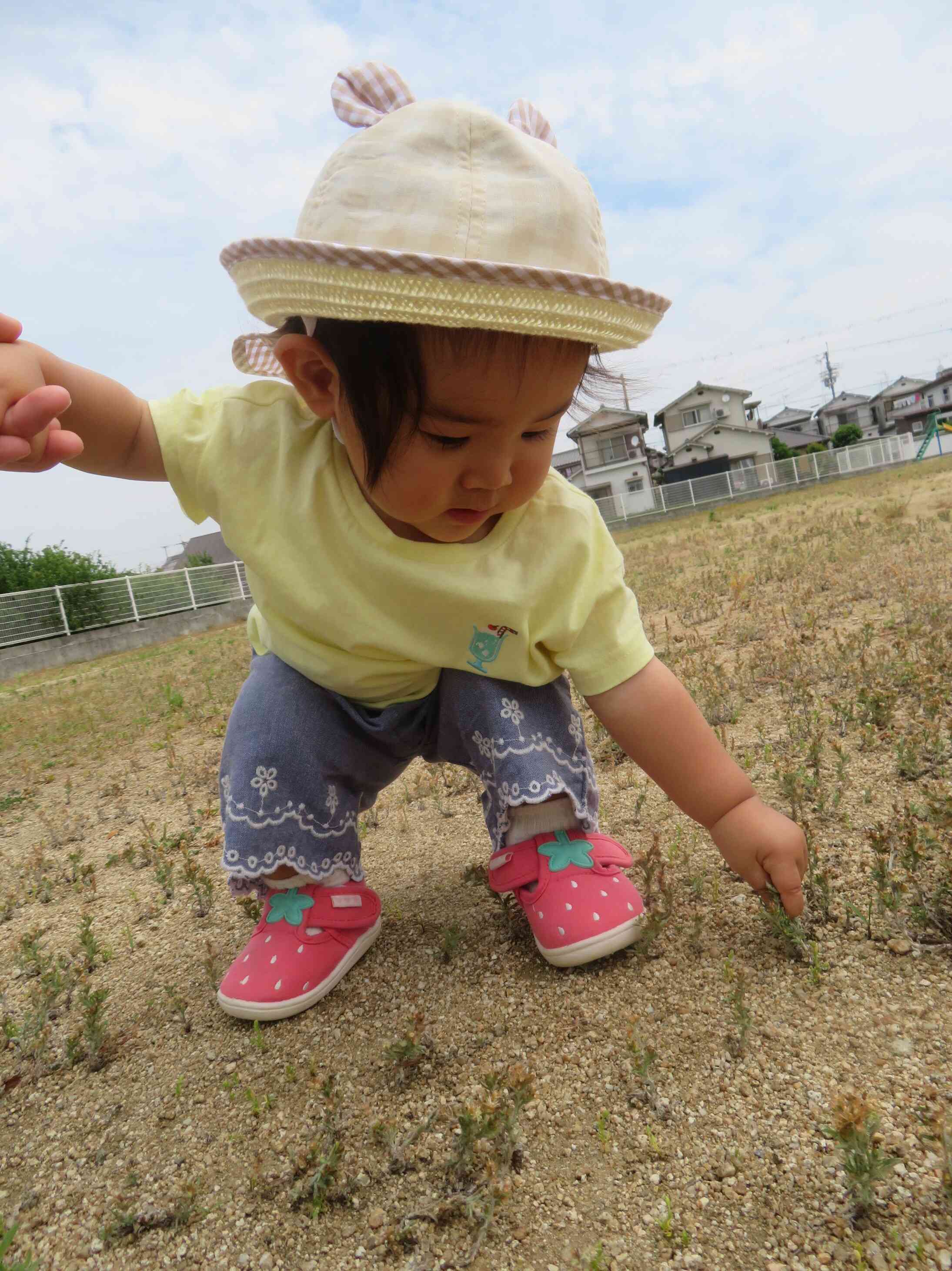 よちよち歩き★ちょっと寄り道