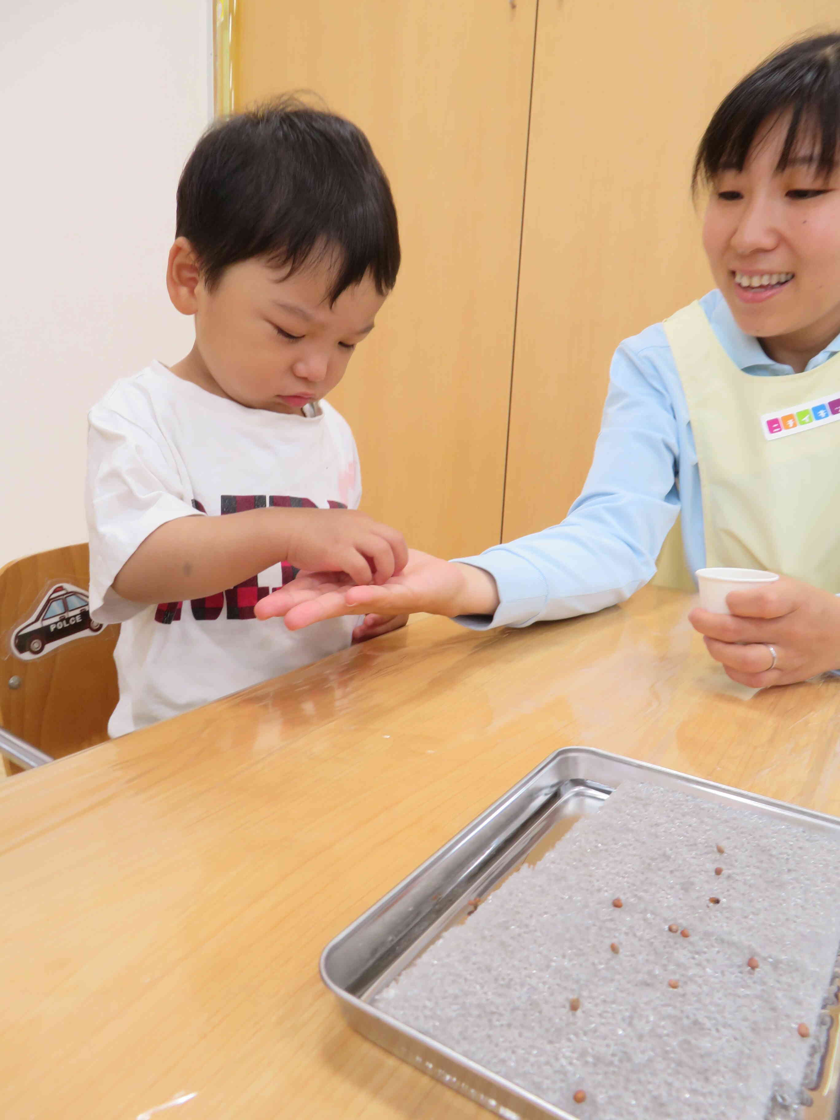 小さな種を落とさないように…