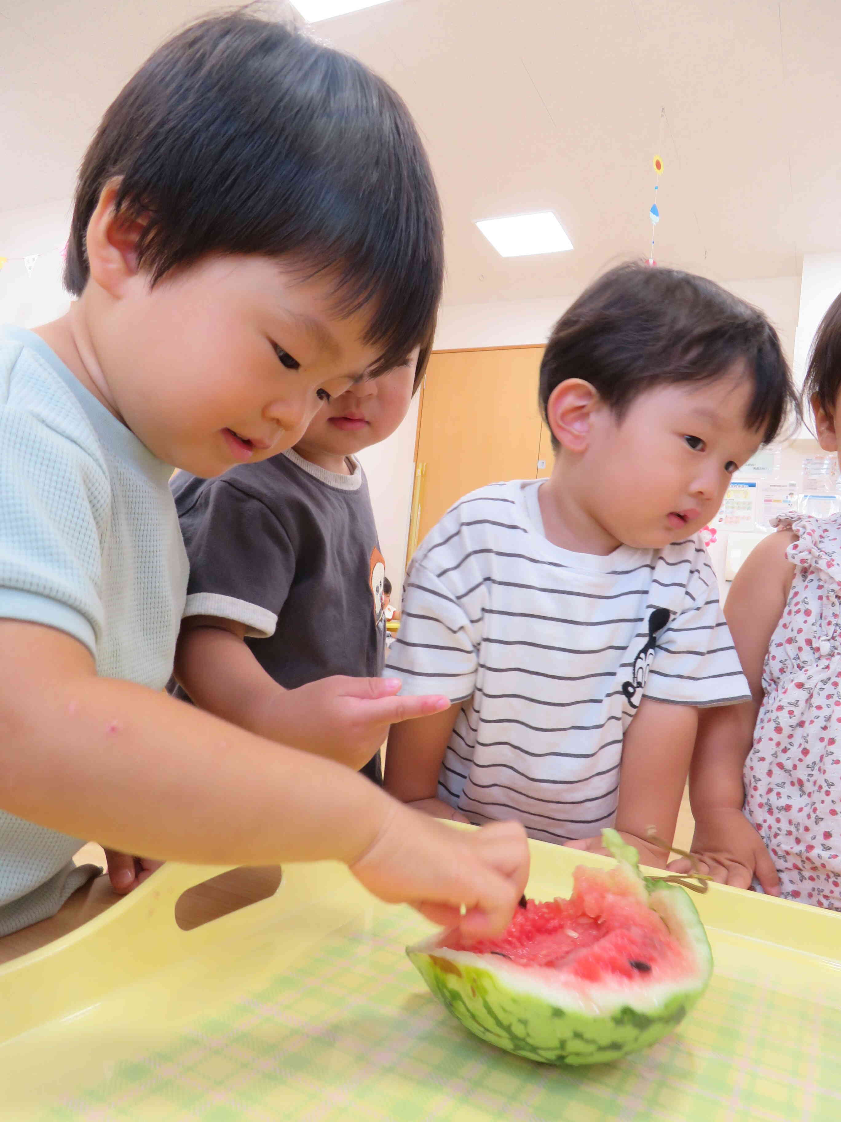 種があるんだね！