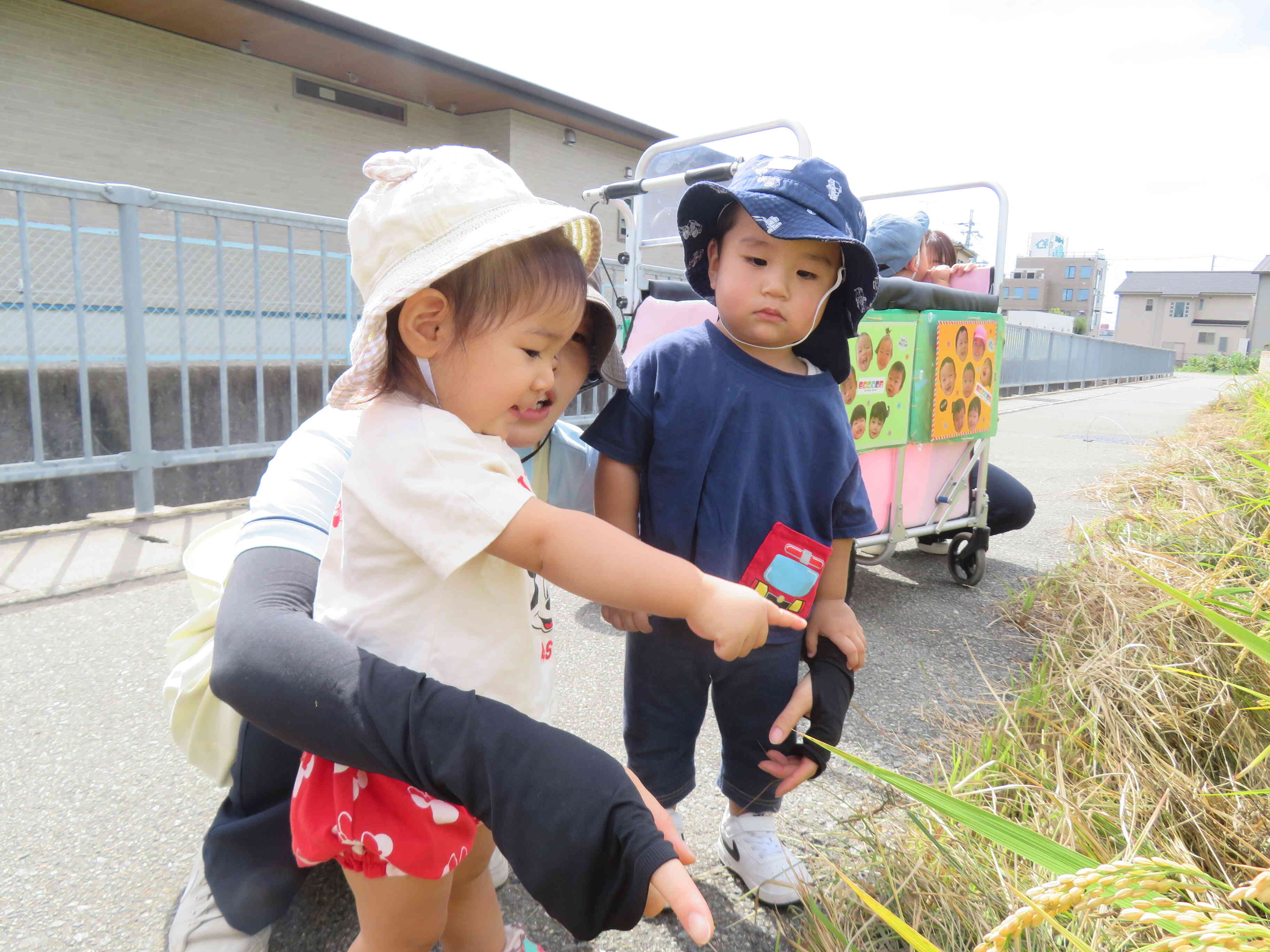 先生、”おこめ”だよ！