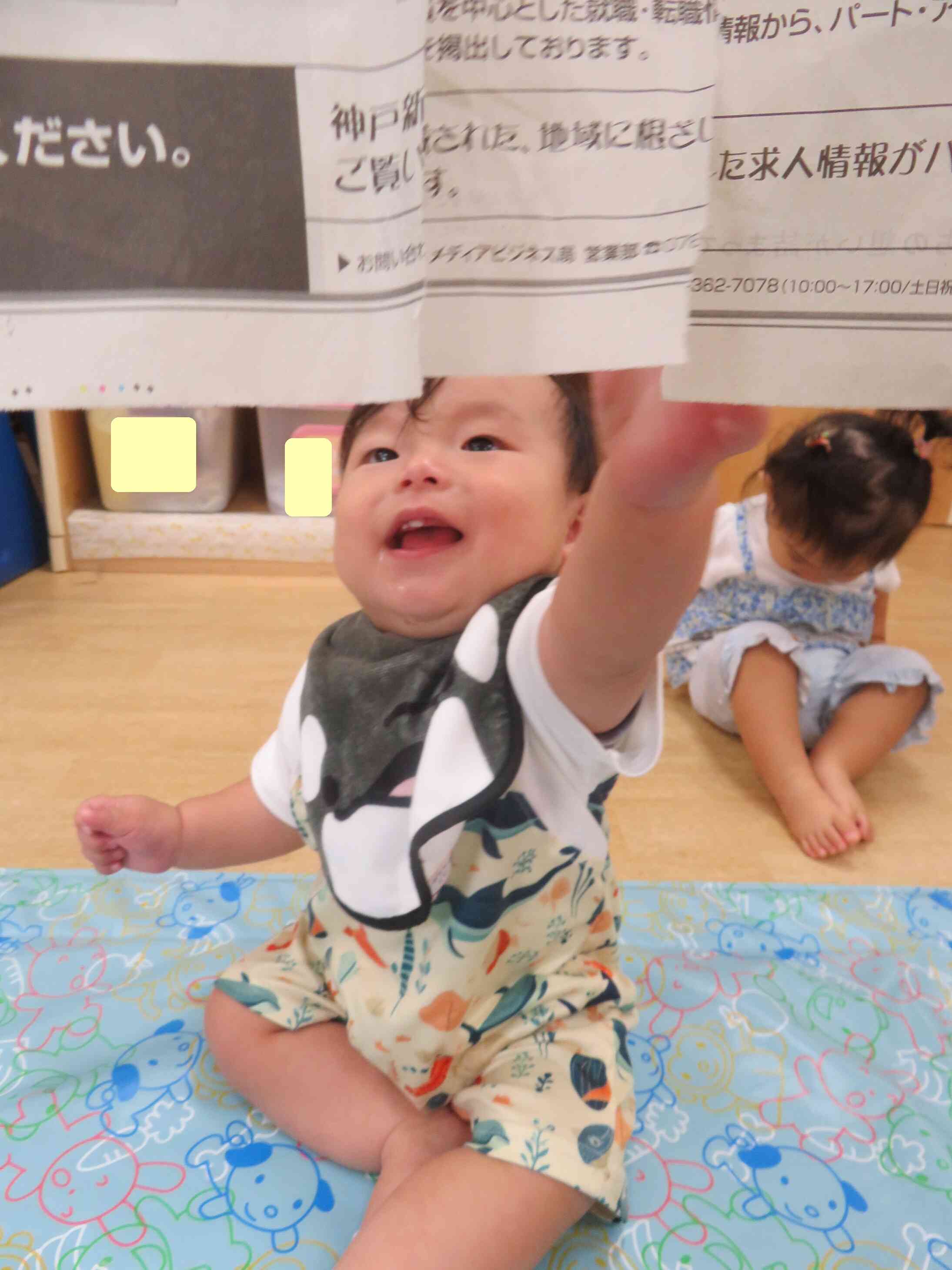 新聞のカーテンだ！！