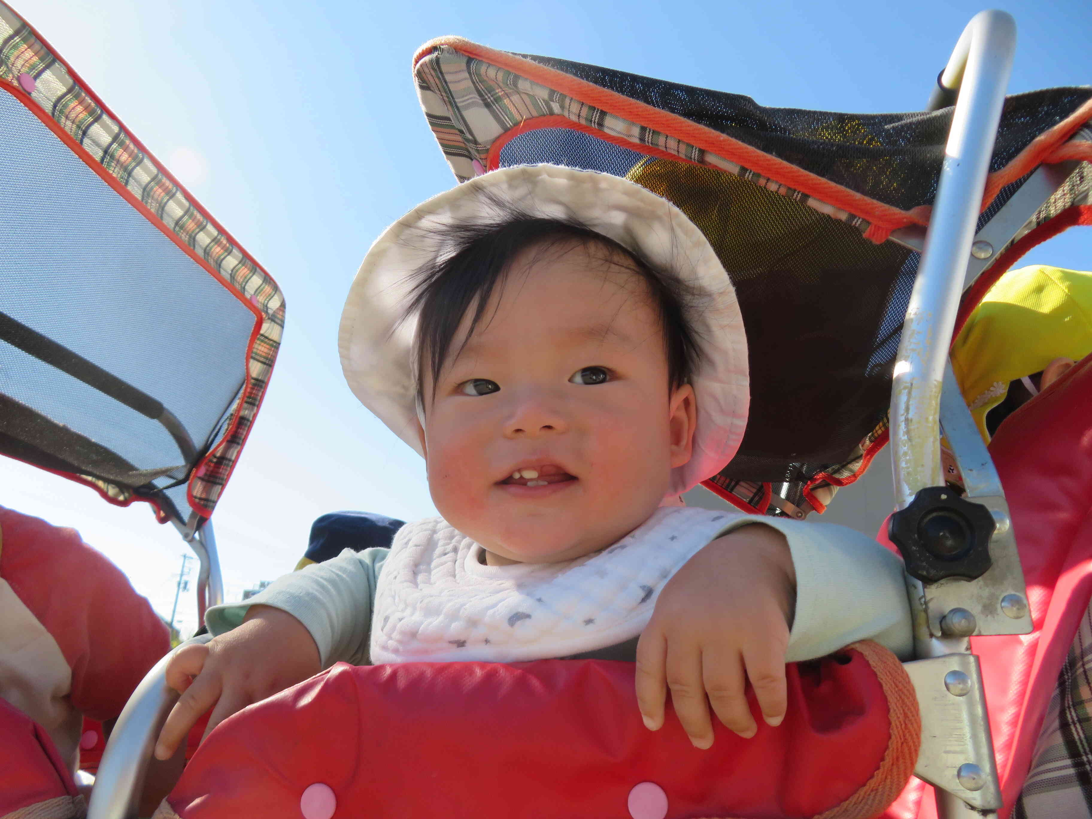 いい風が吹いてるね♪