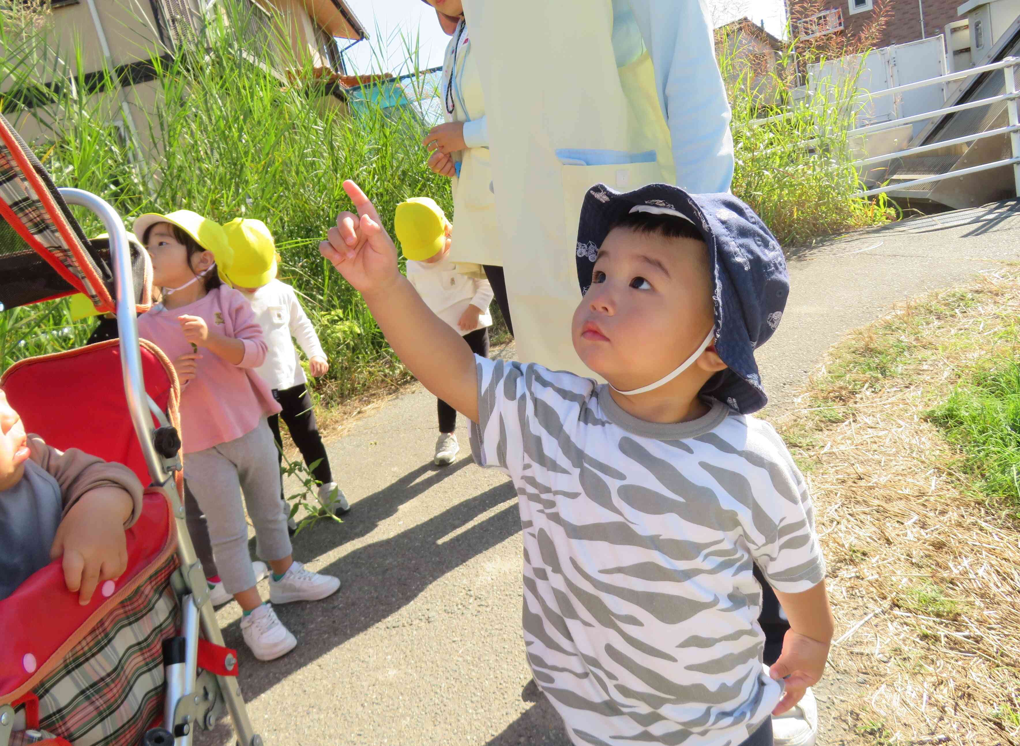 お空を飛んでるのは…？