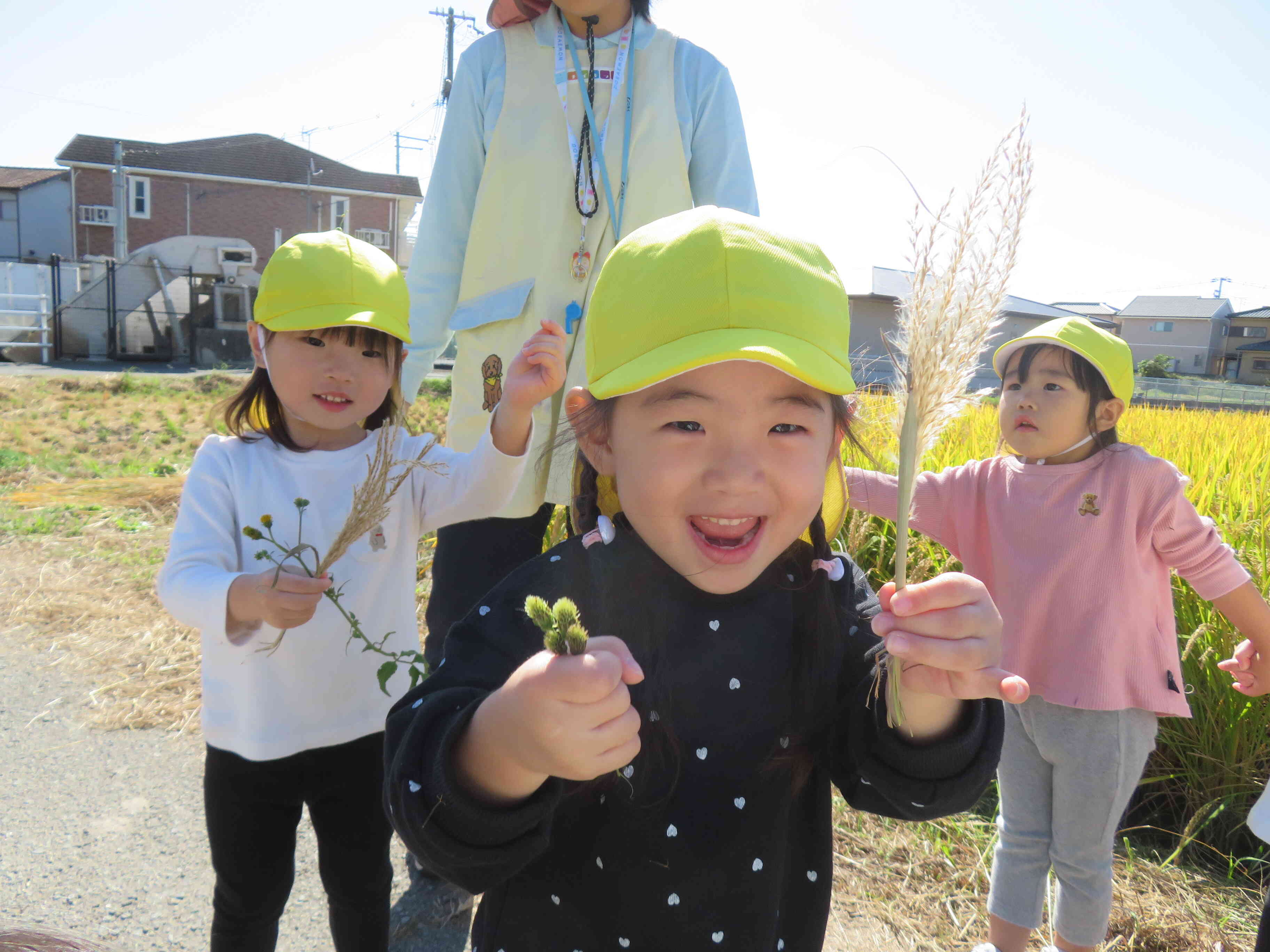 秋みーつけた！