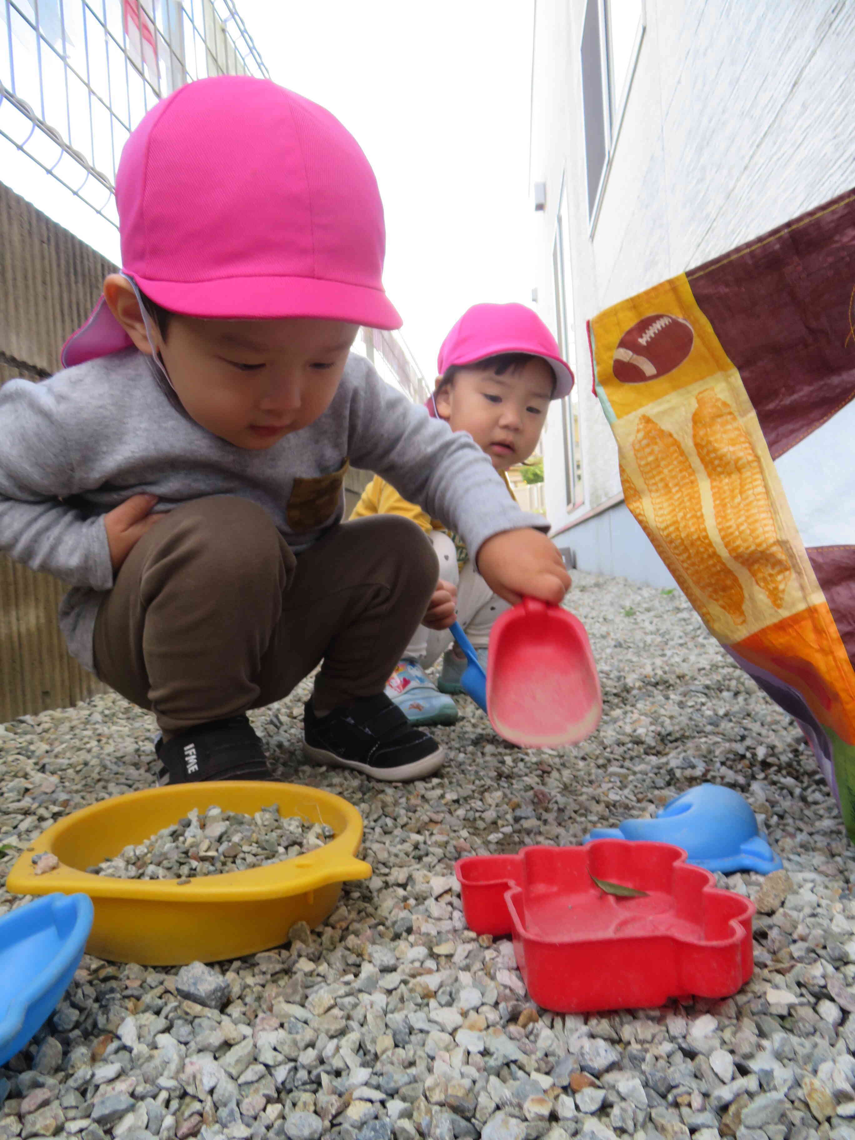 バッタさん、ジャンプするかな～？