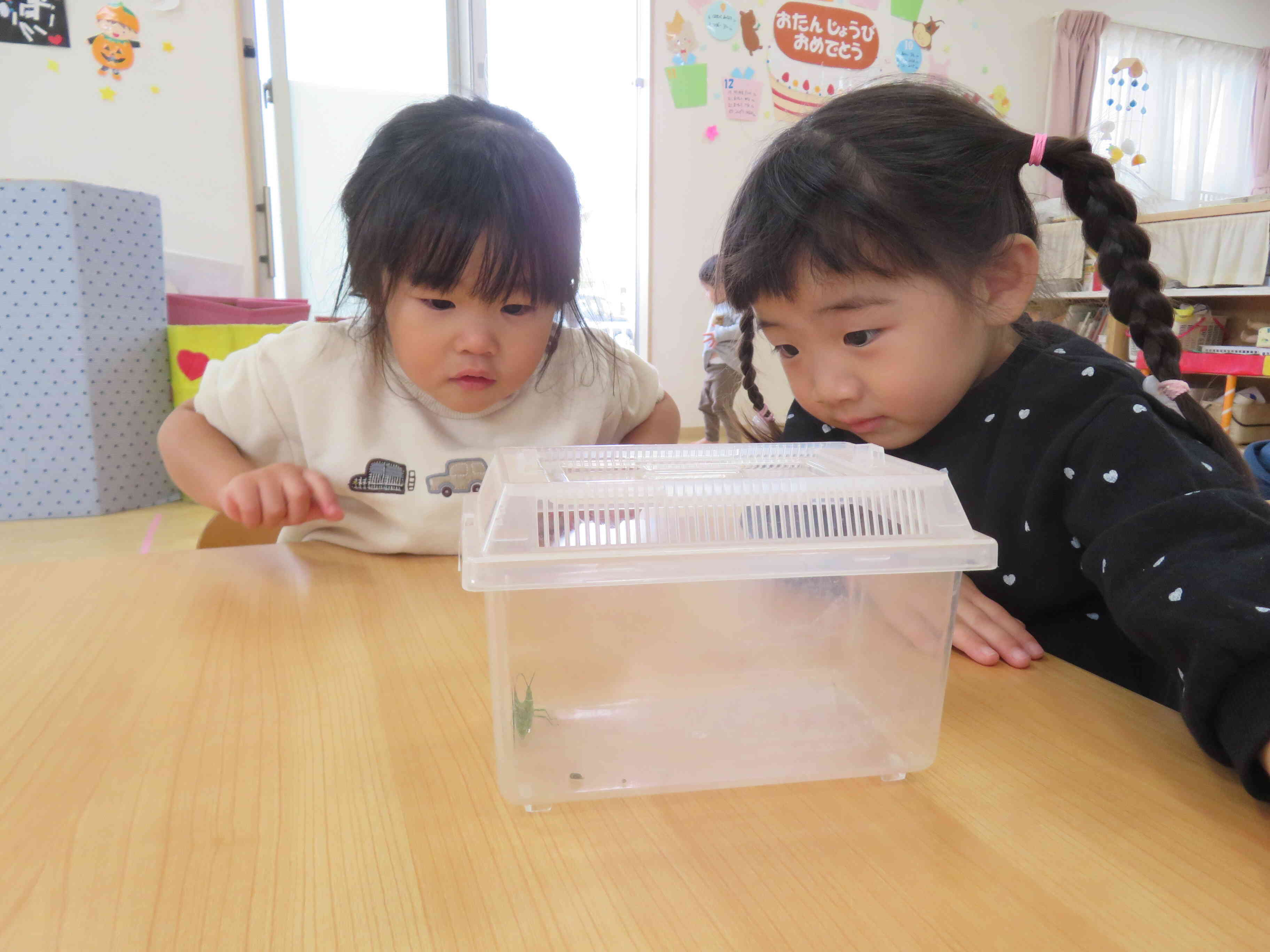 バッタさん…何してるのかな？