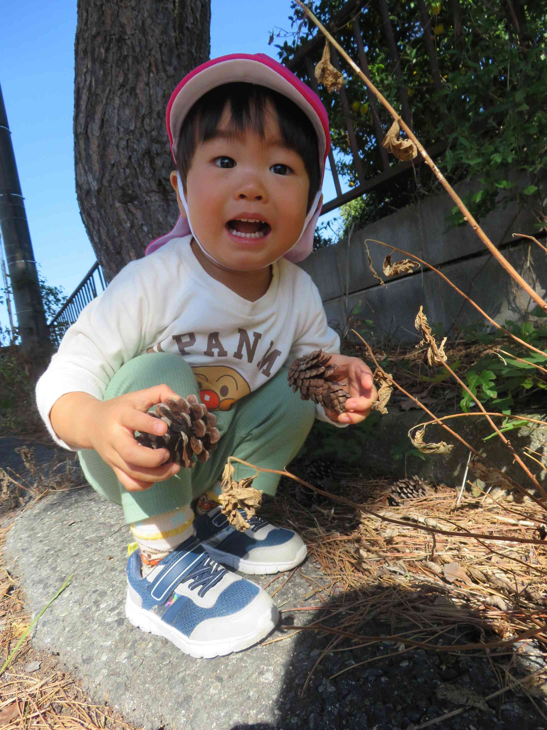 まつぼっくりがあったとさ♪