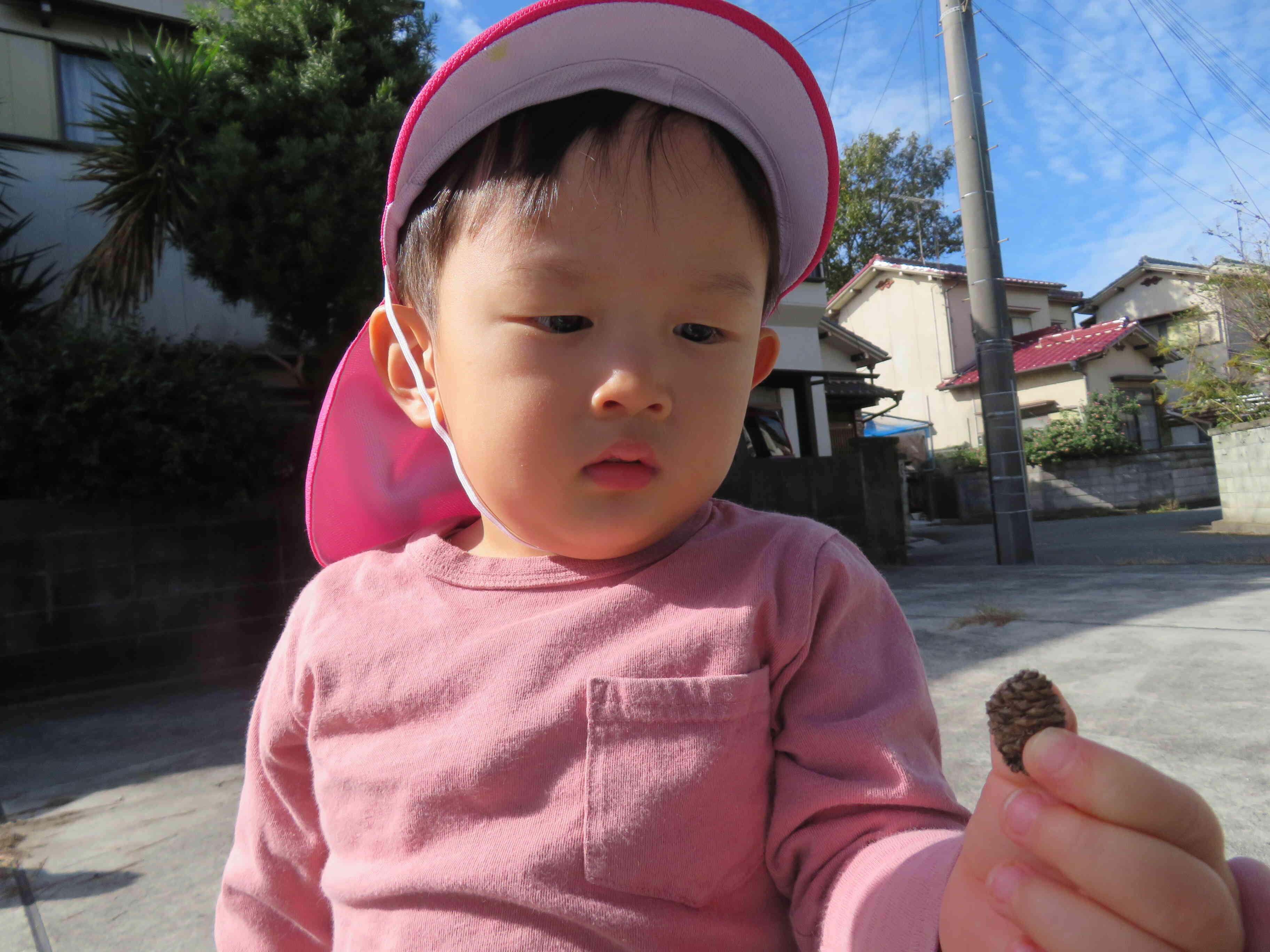 これはなんだろう…