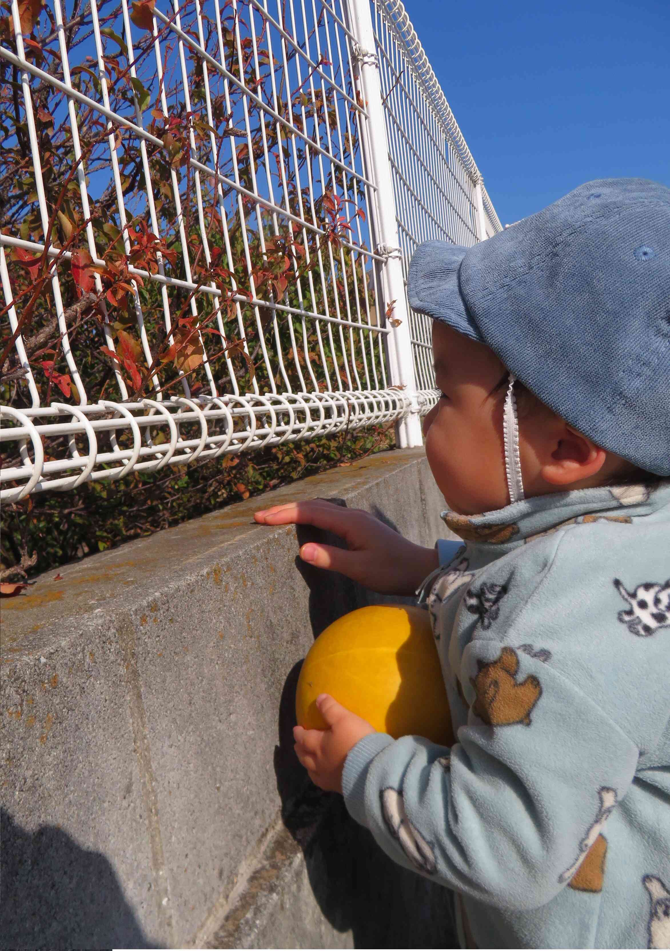 まっかだなぁ～♪