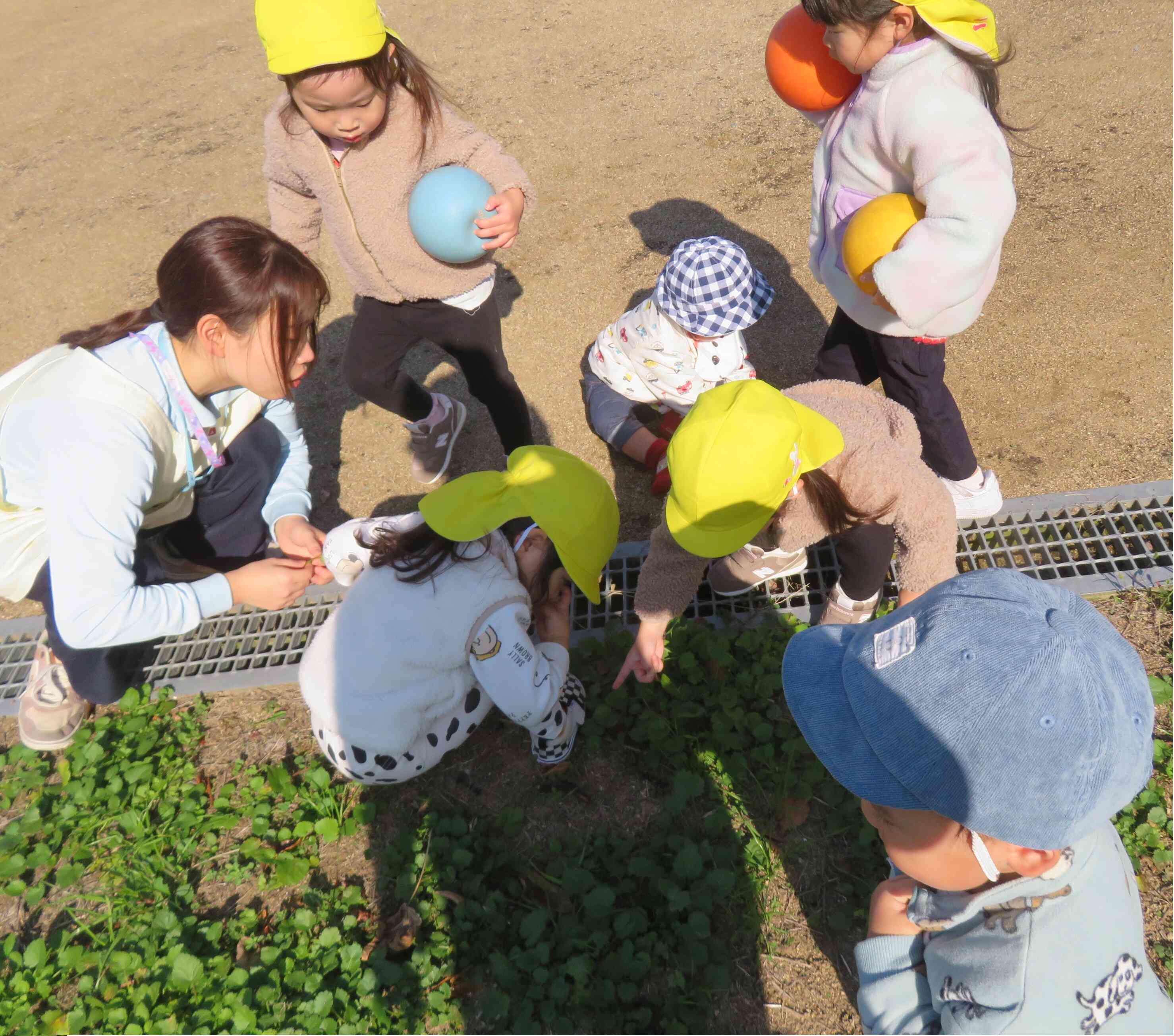 穏やかな土曜日のお散歩♪