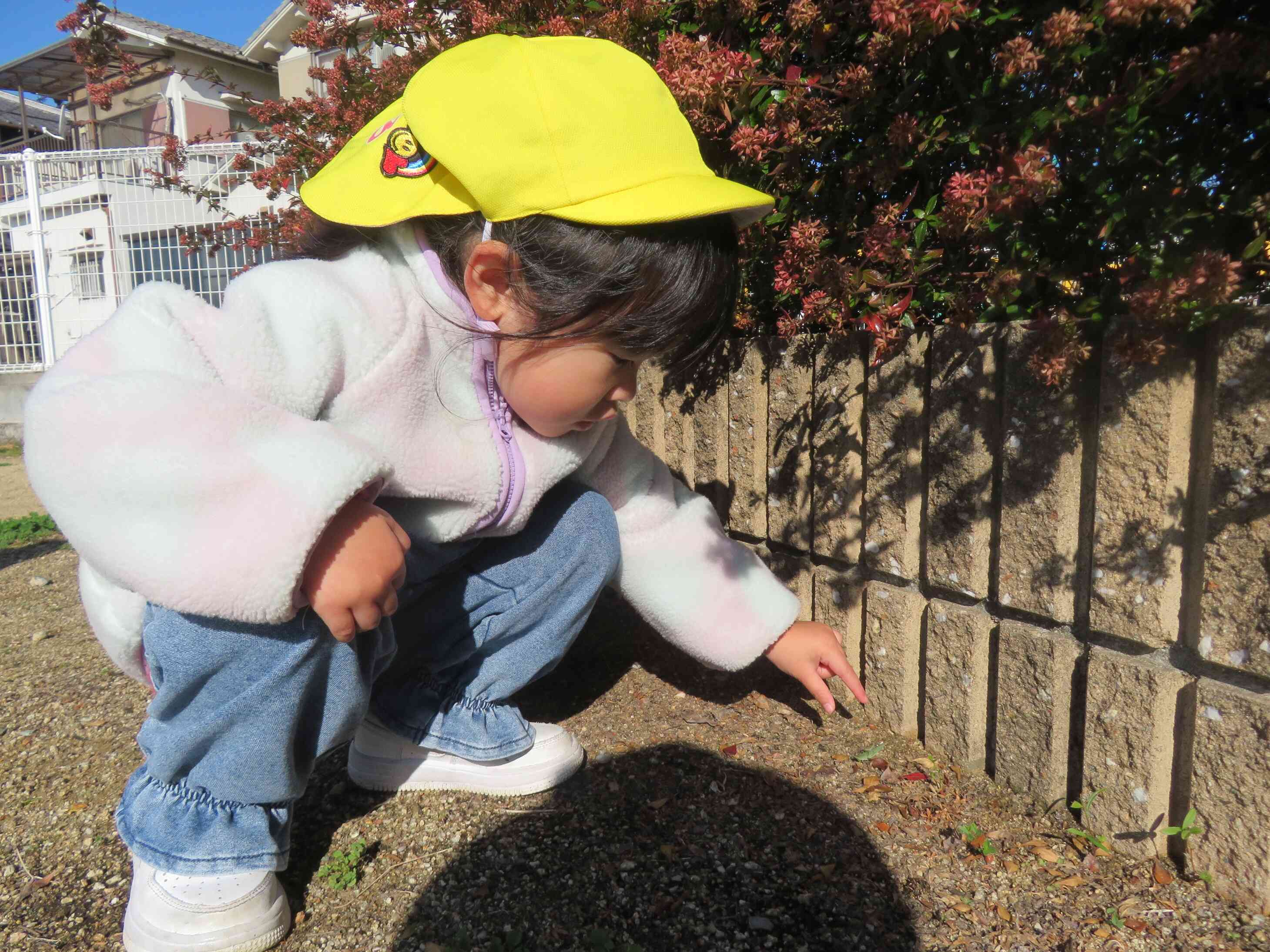 さがしものは、なんですか～♬