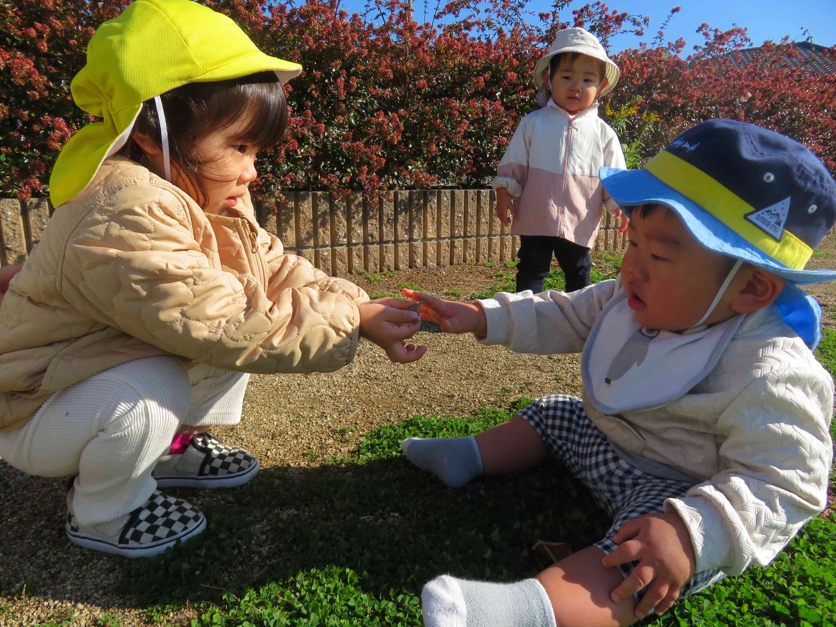 『バッタさんだよ。』