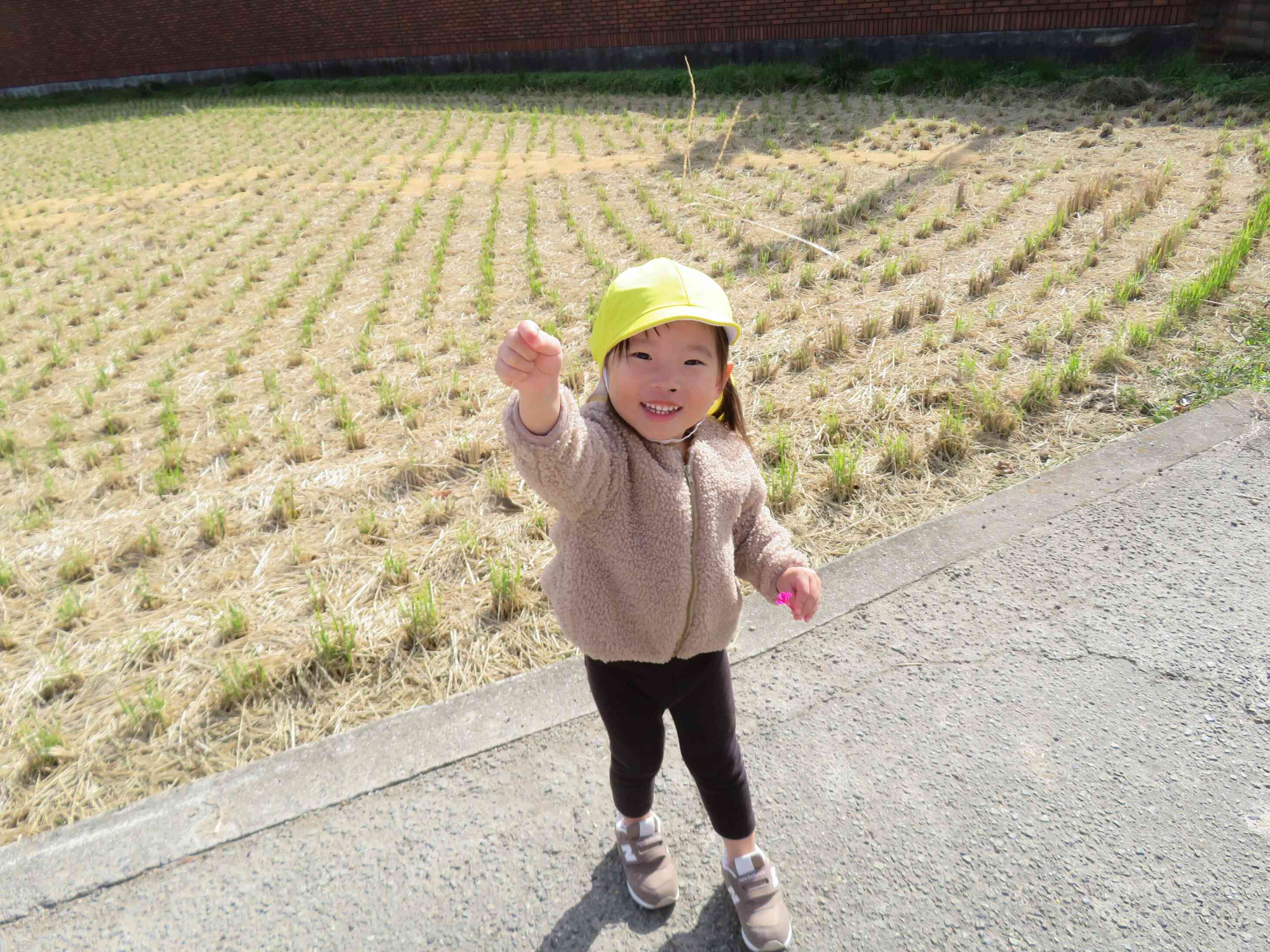 ちちんぷいぷいのプイー！！