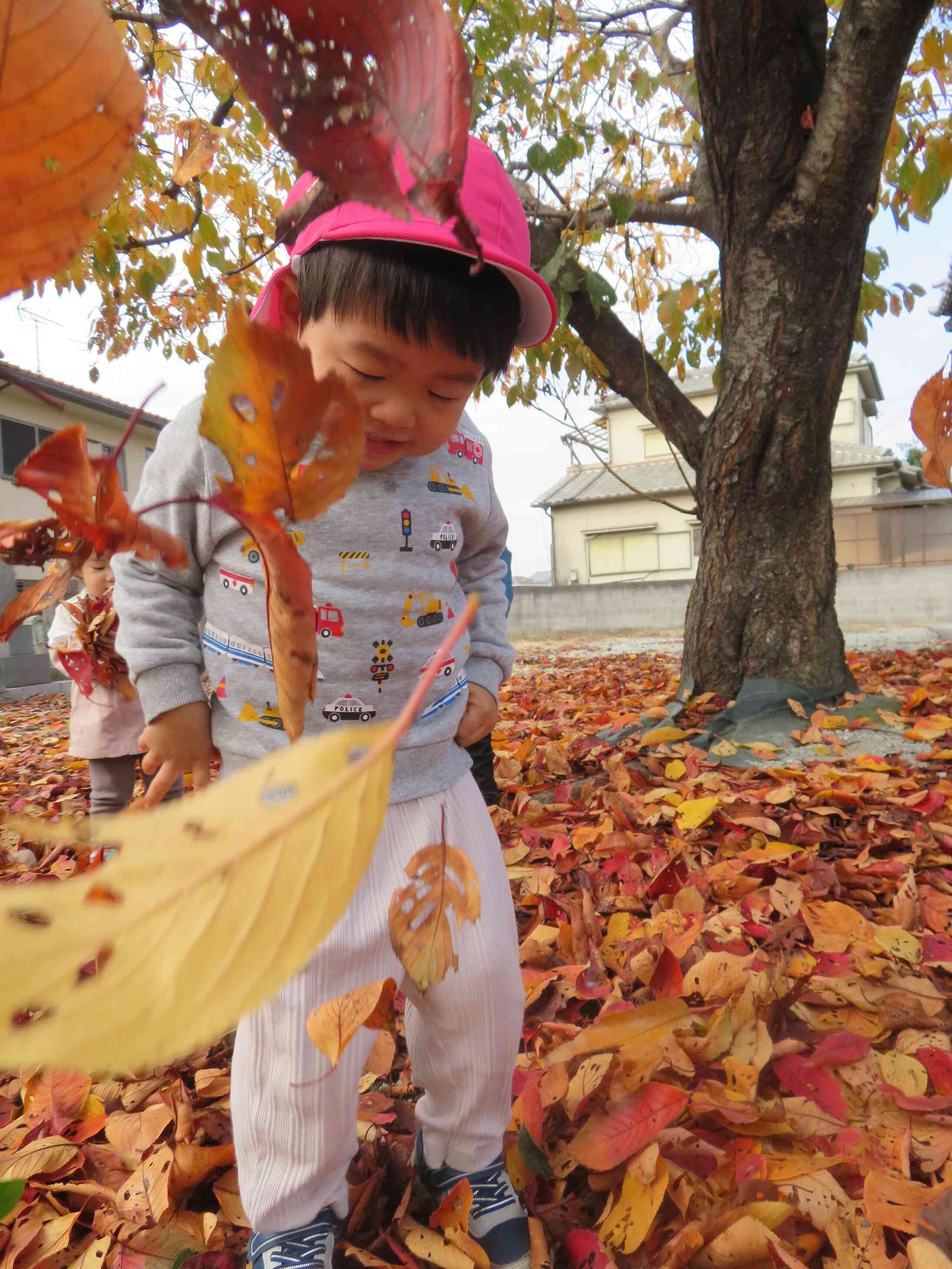 舞い降りた落ち葉