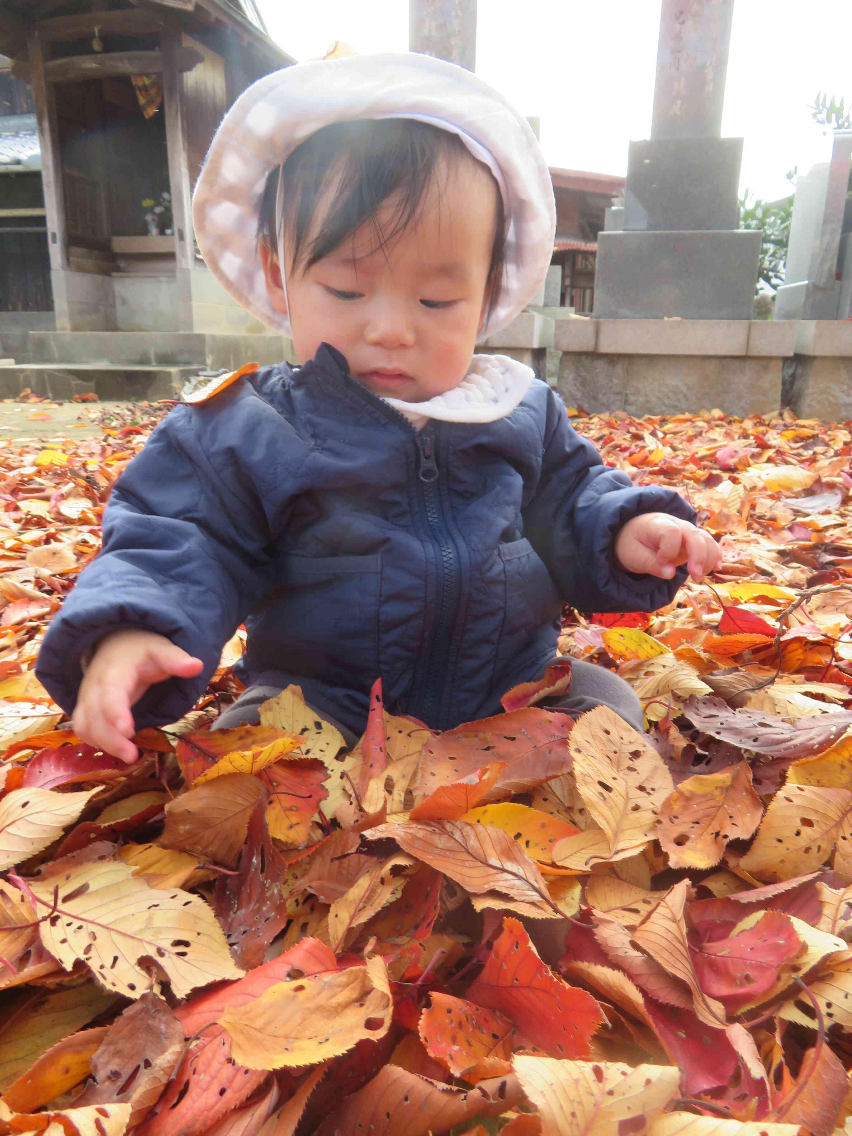 『埋もれたよ☆』