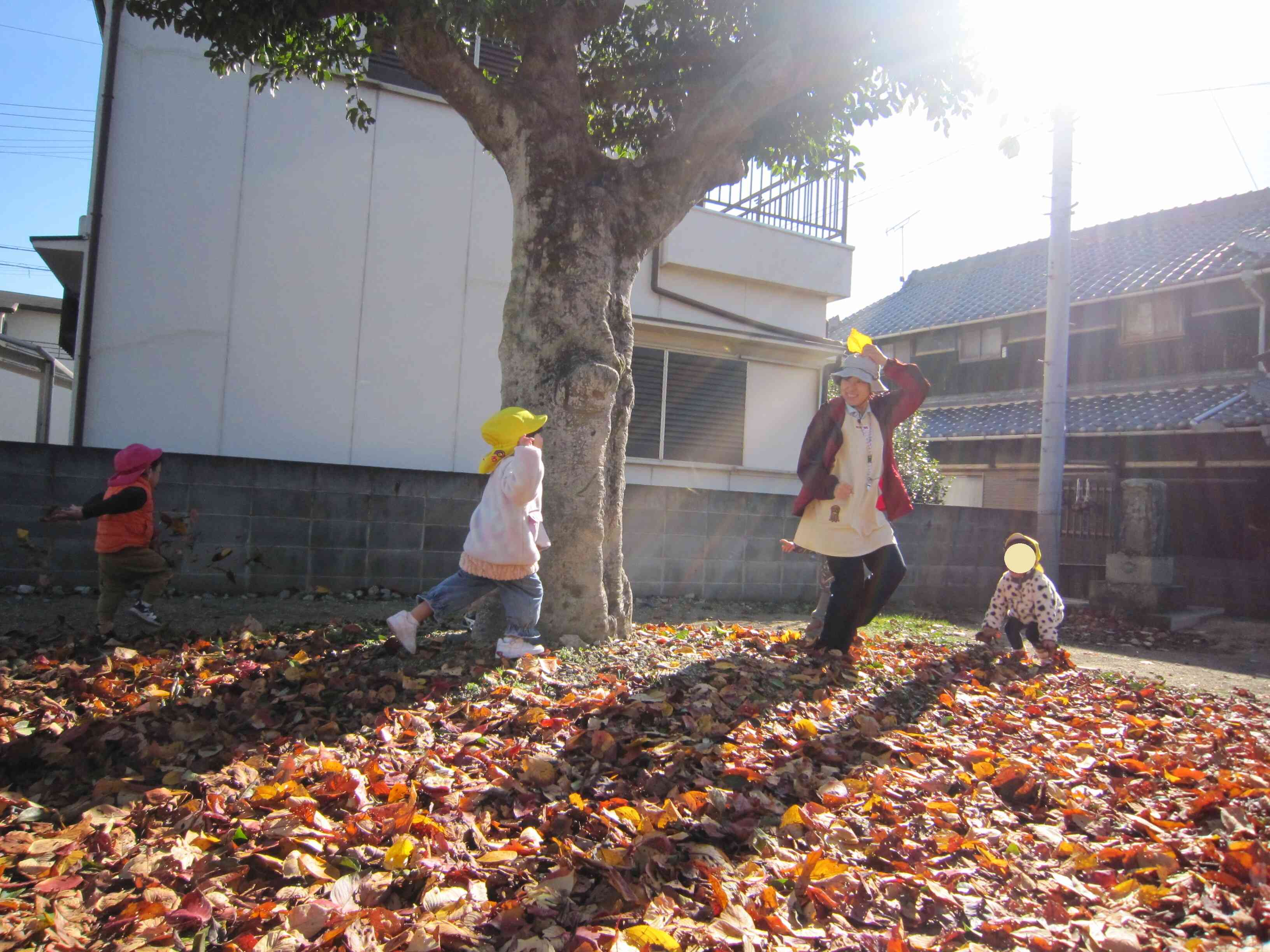 先生まてまてー！