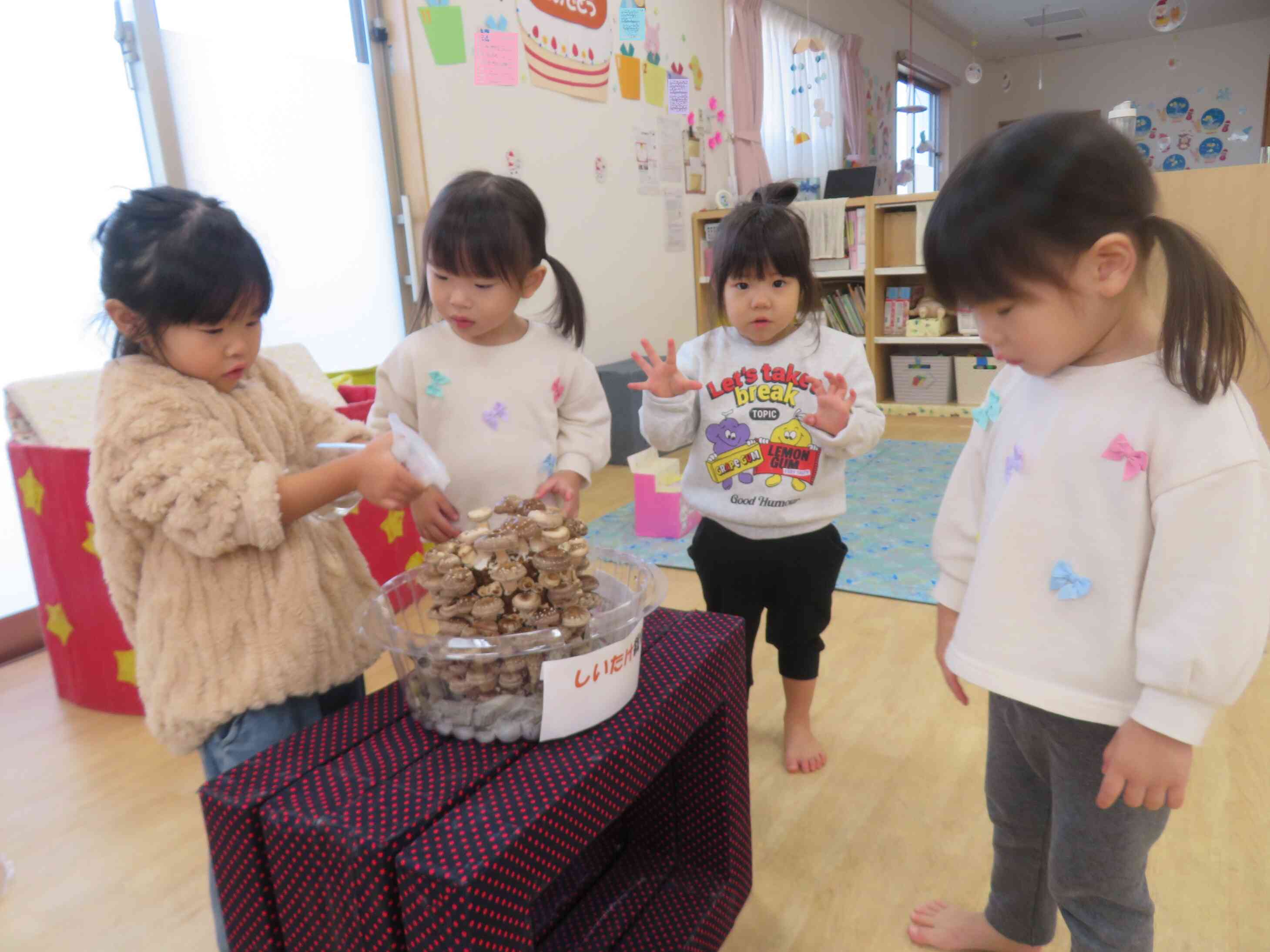 今日もお忘れなく…！