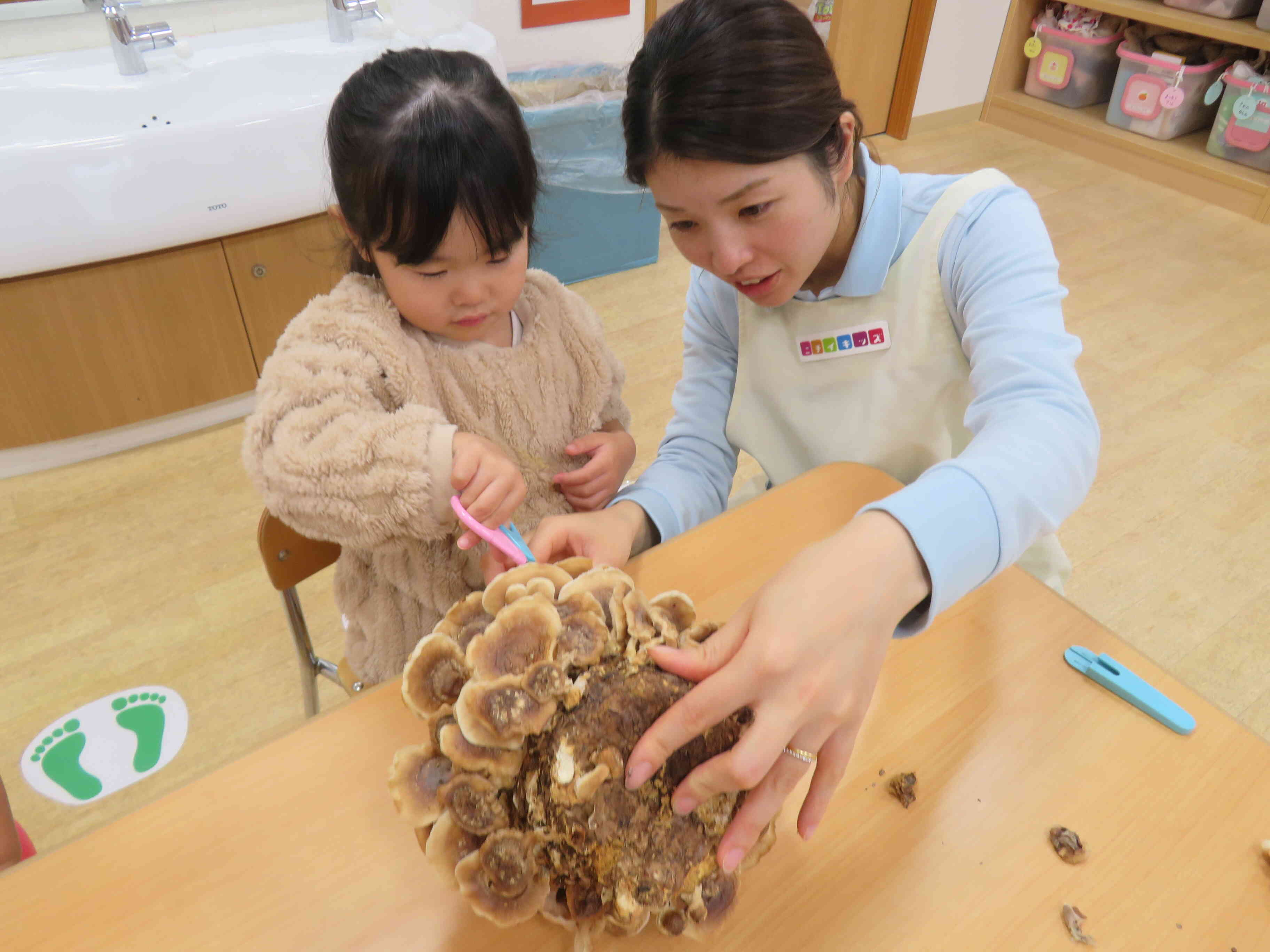 『次は、どこをチョッキンする？』