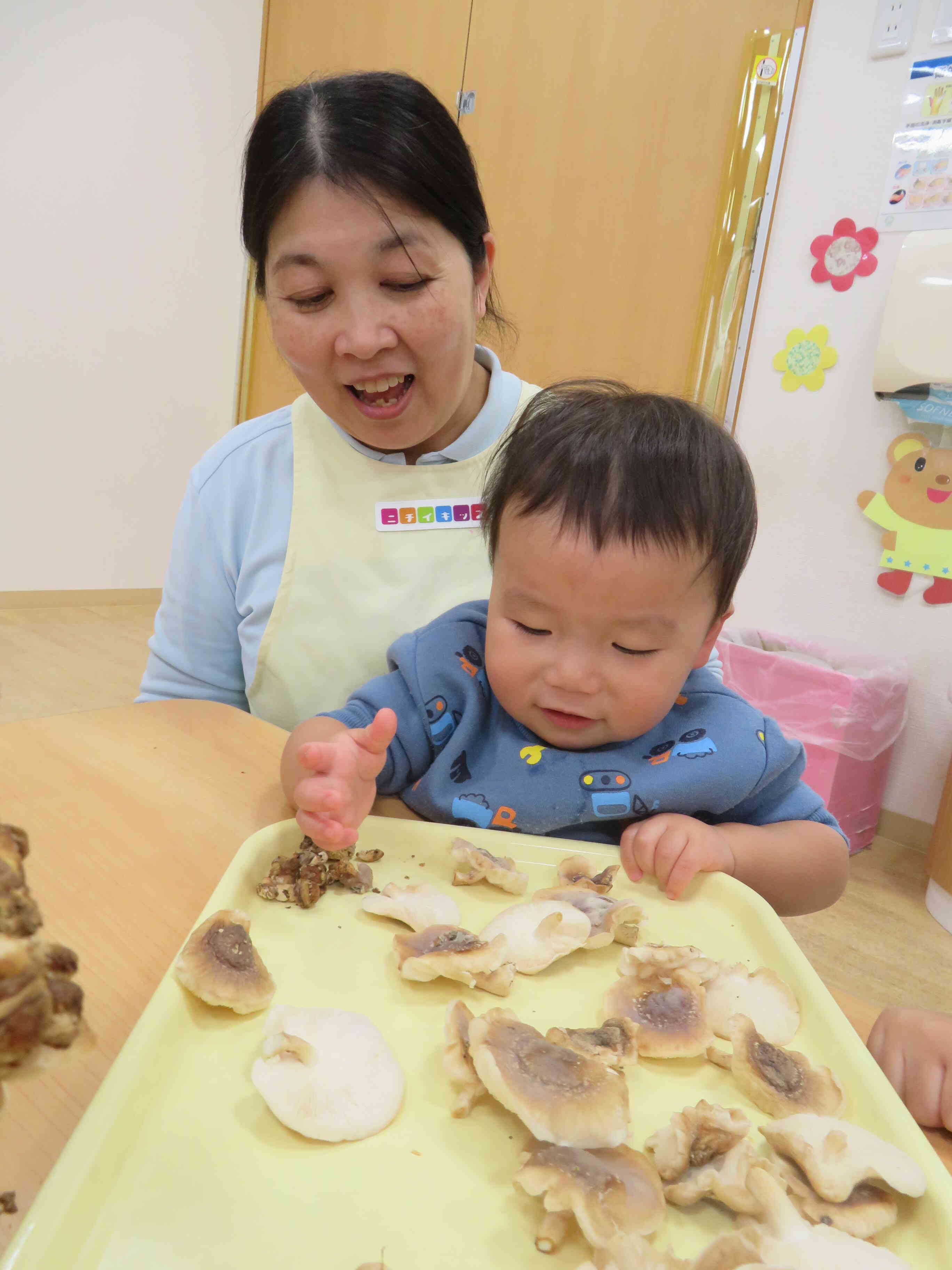 きのこ　のこのこ！