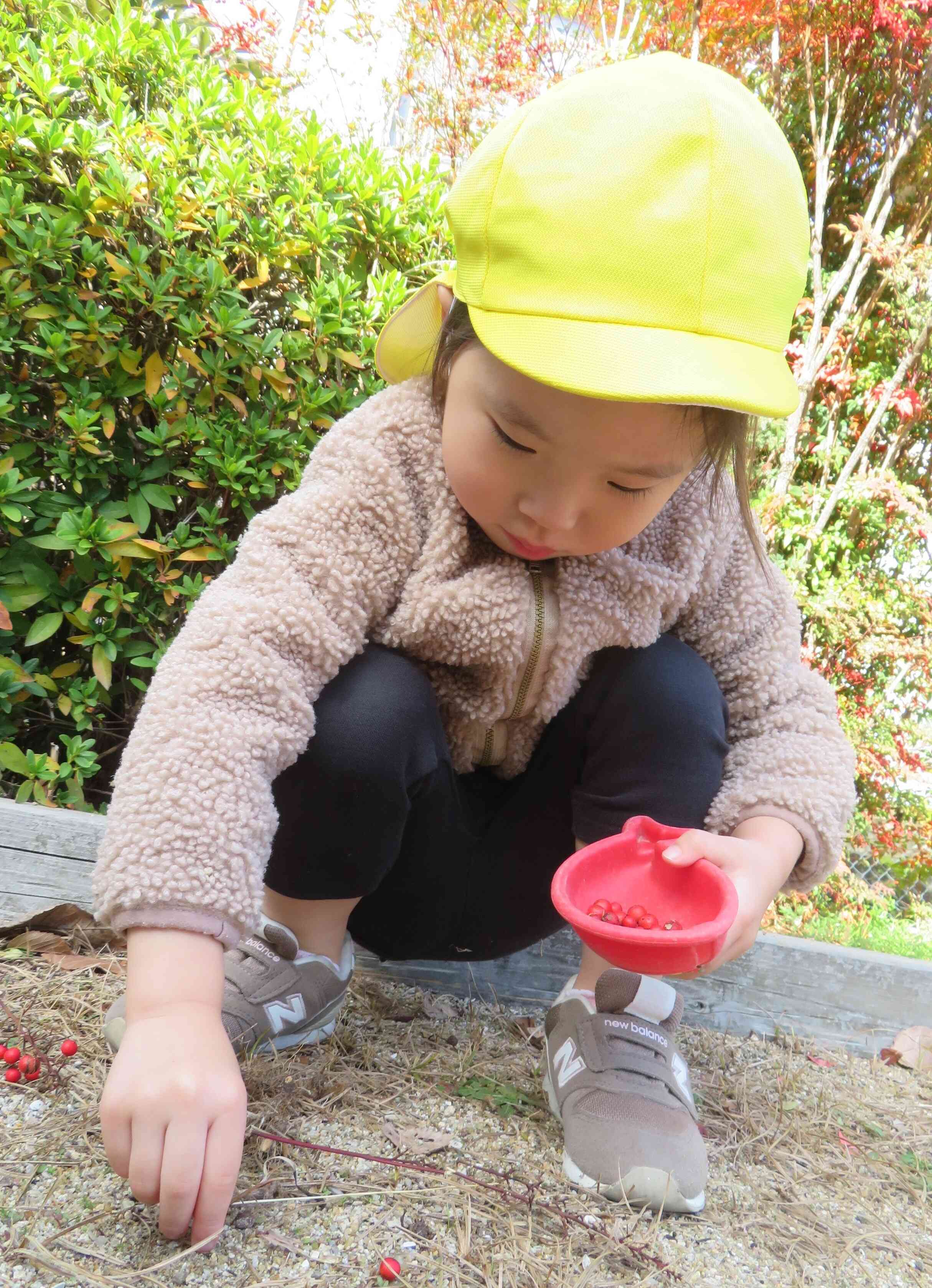 赤い実いっぱいゲット♡