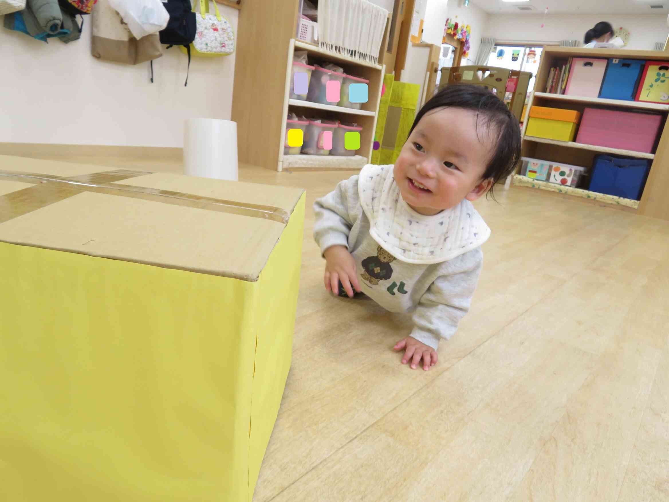 食べ物探しをしたよ！