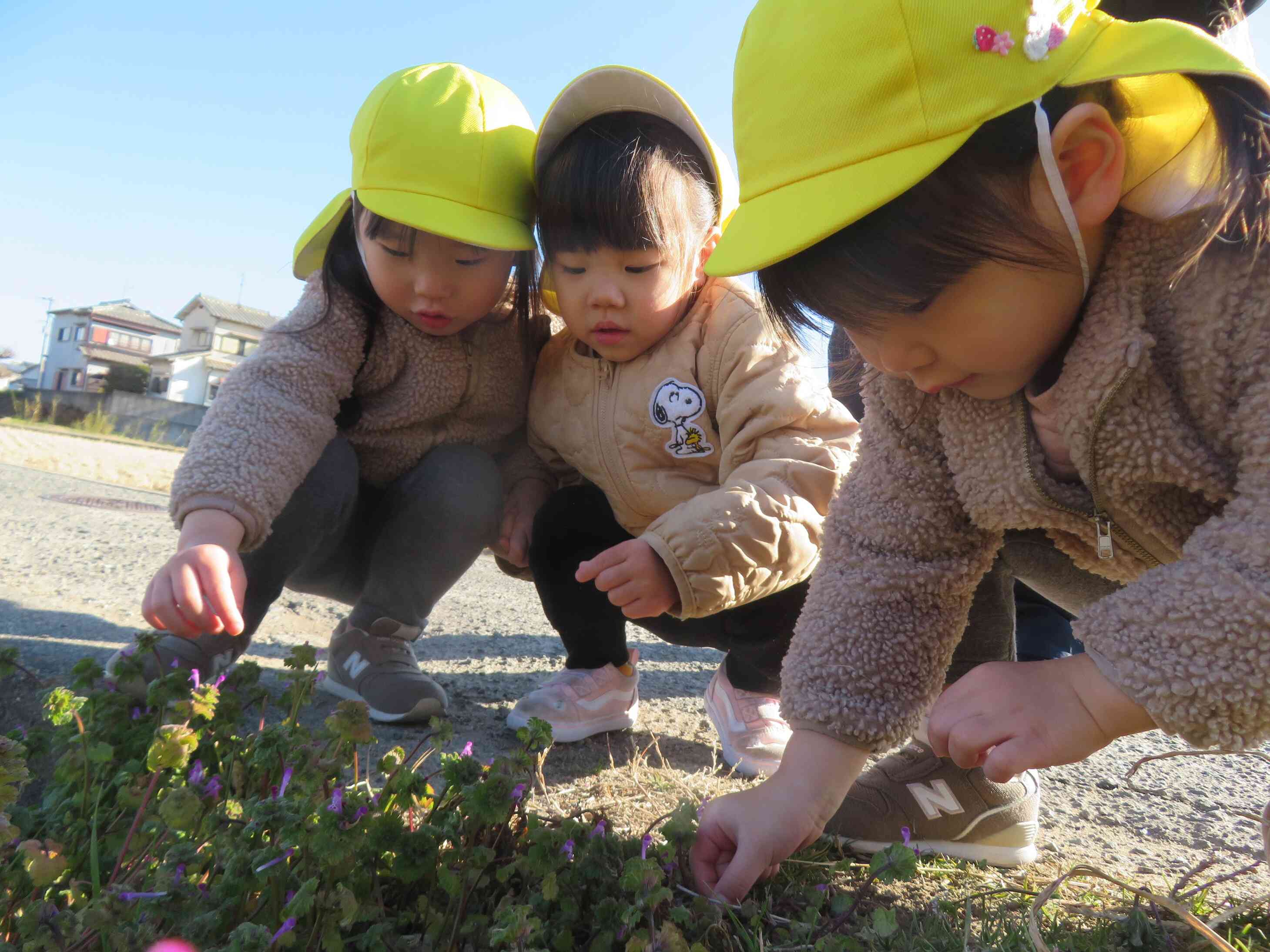 「かわいい♡」一緒に仲良くお花摘み。