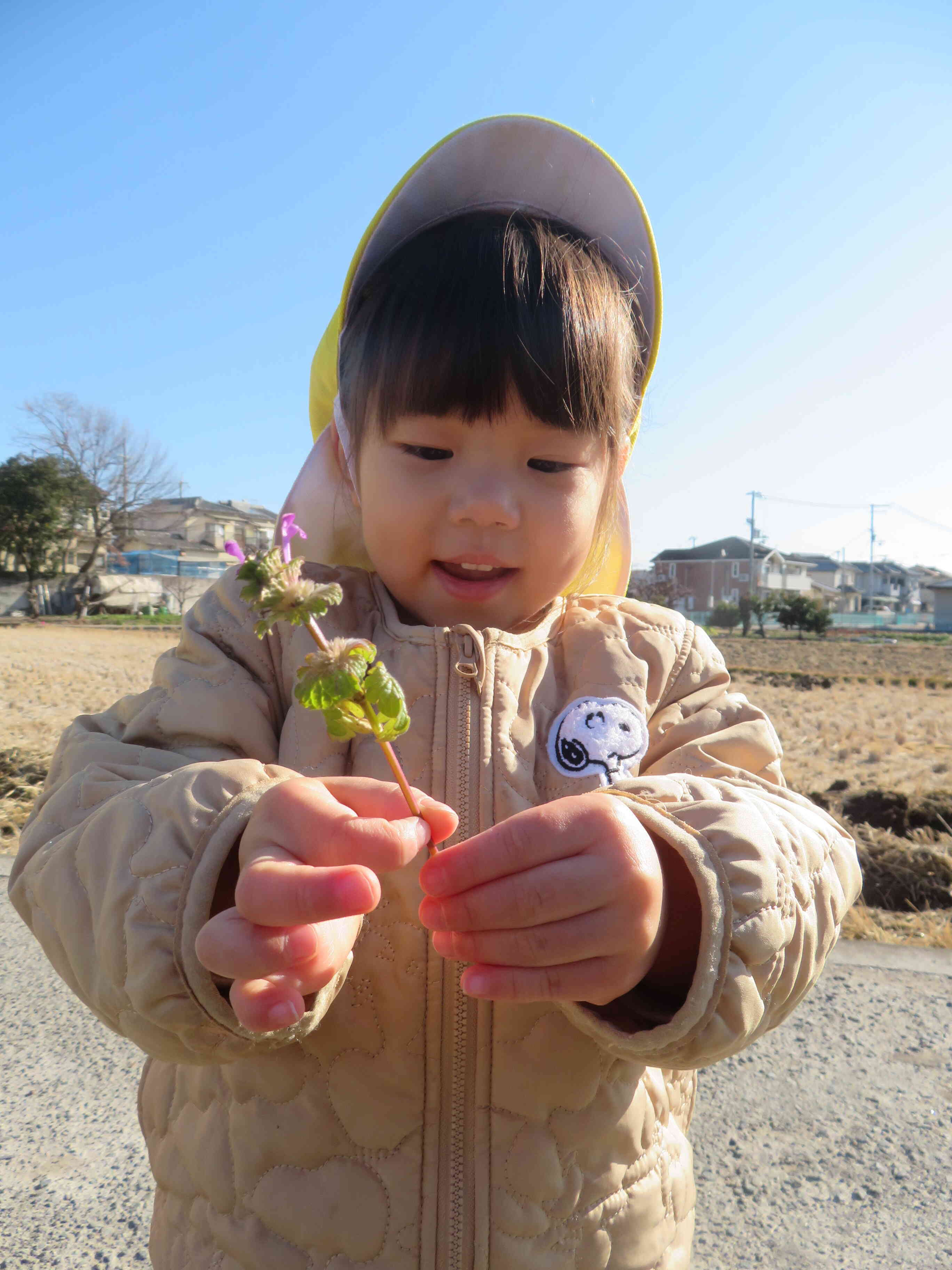 かわいいお花み～つけた！